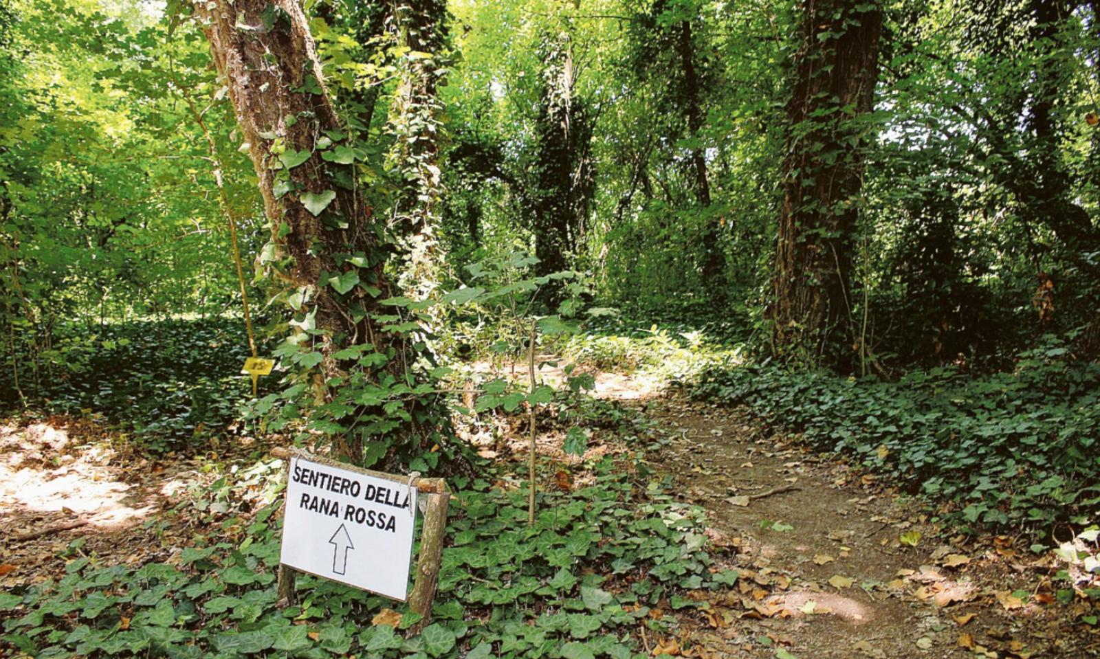 Riunione a Parco Langer, i genitori insorgono: "Seduti a terra tra le zanzare"