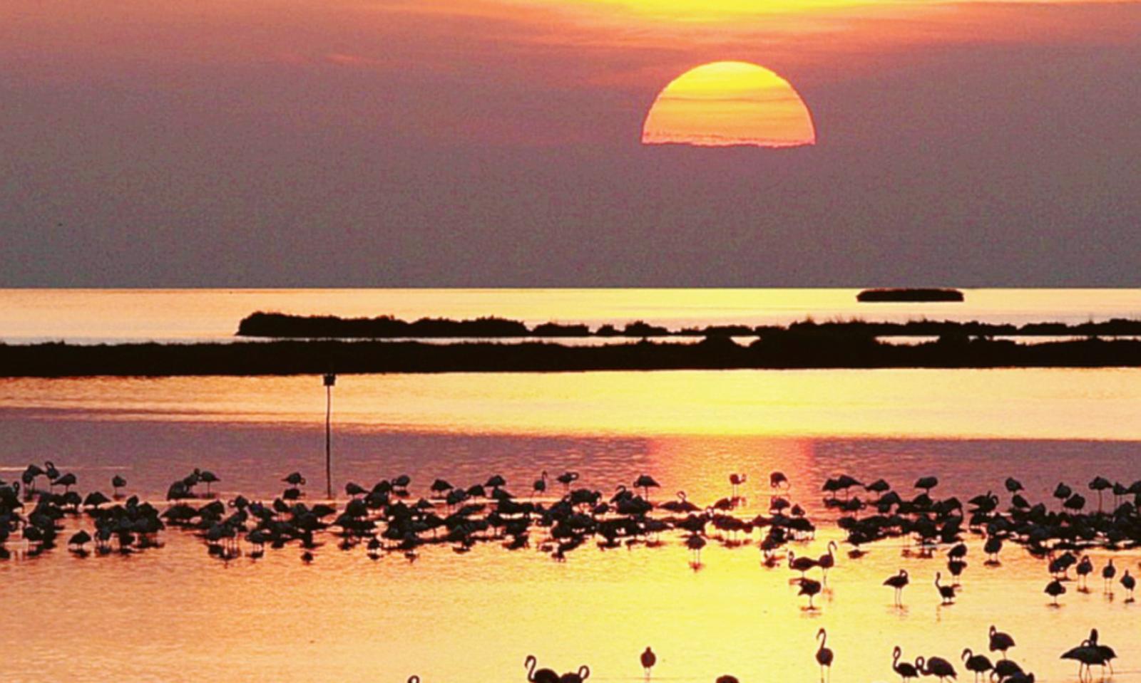 &ldquo;Spot vergognoso, una gaffe&rdquo;