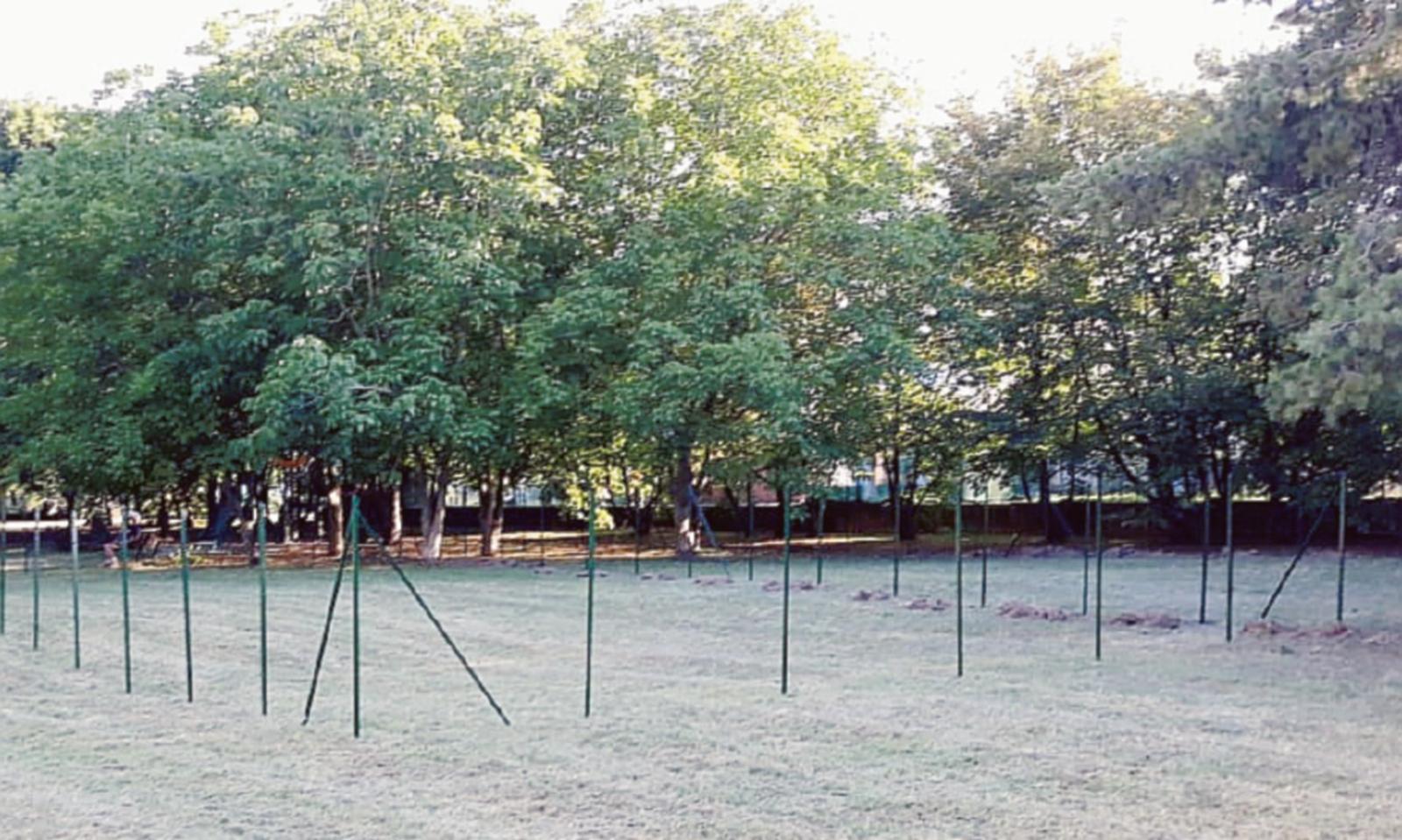 Incredibile: finalmente partono i lavori per l'area cani e i residenti bloccano tutto