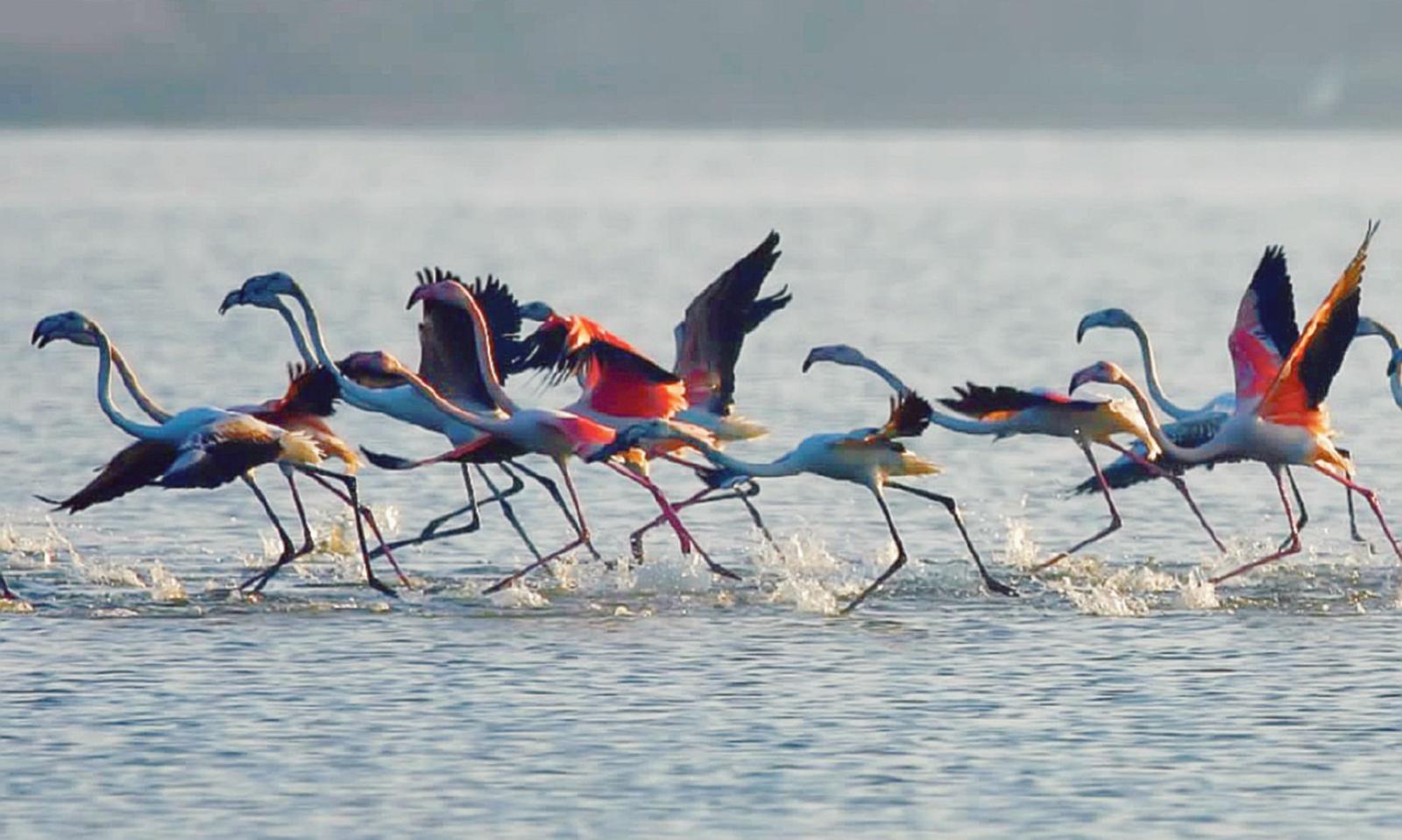 &ldquo;Il Parco &egrave; pi&ugrave; forte del virus&rdquo;, positivo il bilancio della stagione turistica