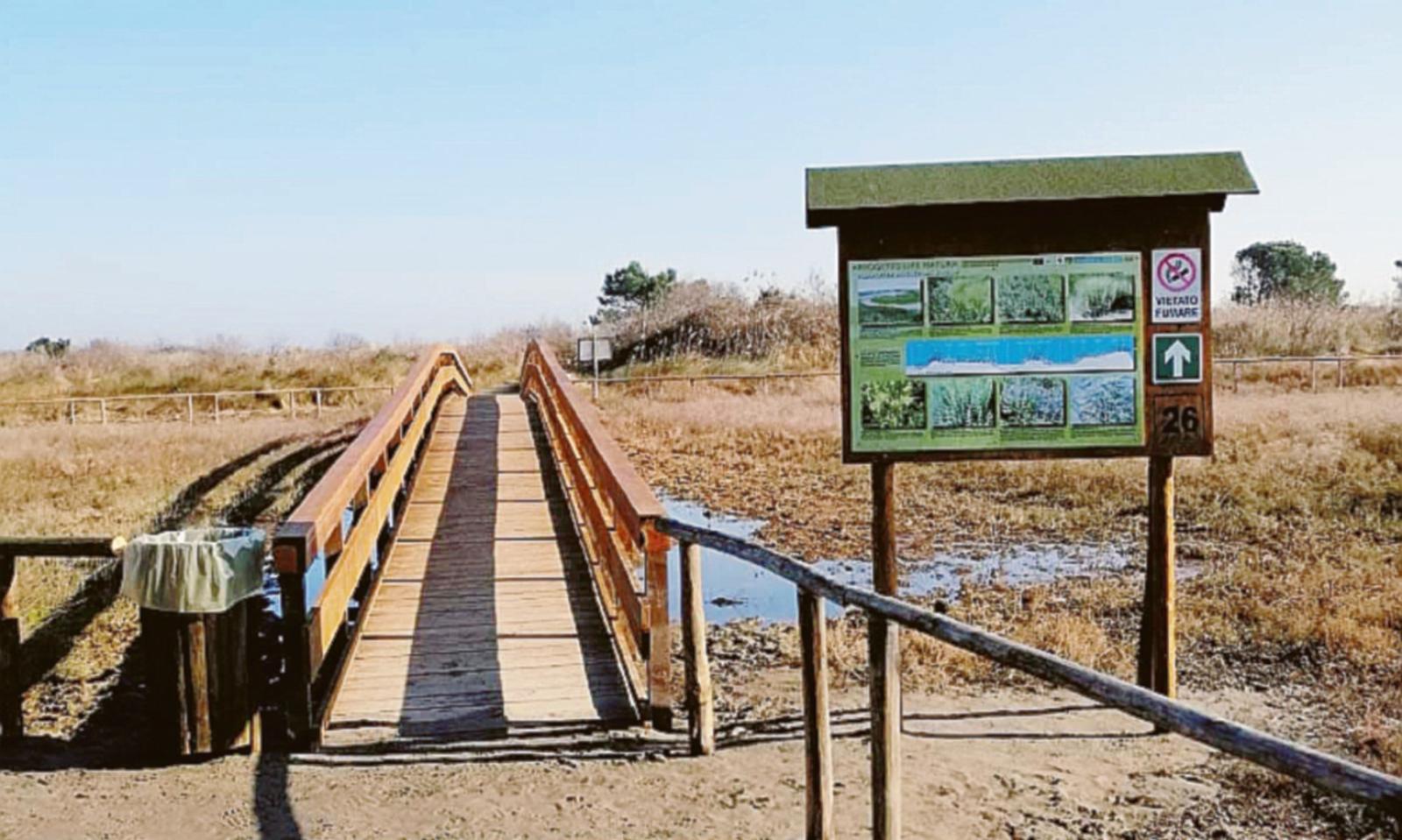 &ldquo;Giardino Laudato s&igrave;&rdquo;, arriva Zaia