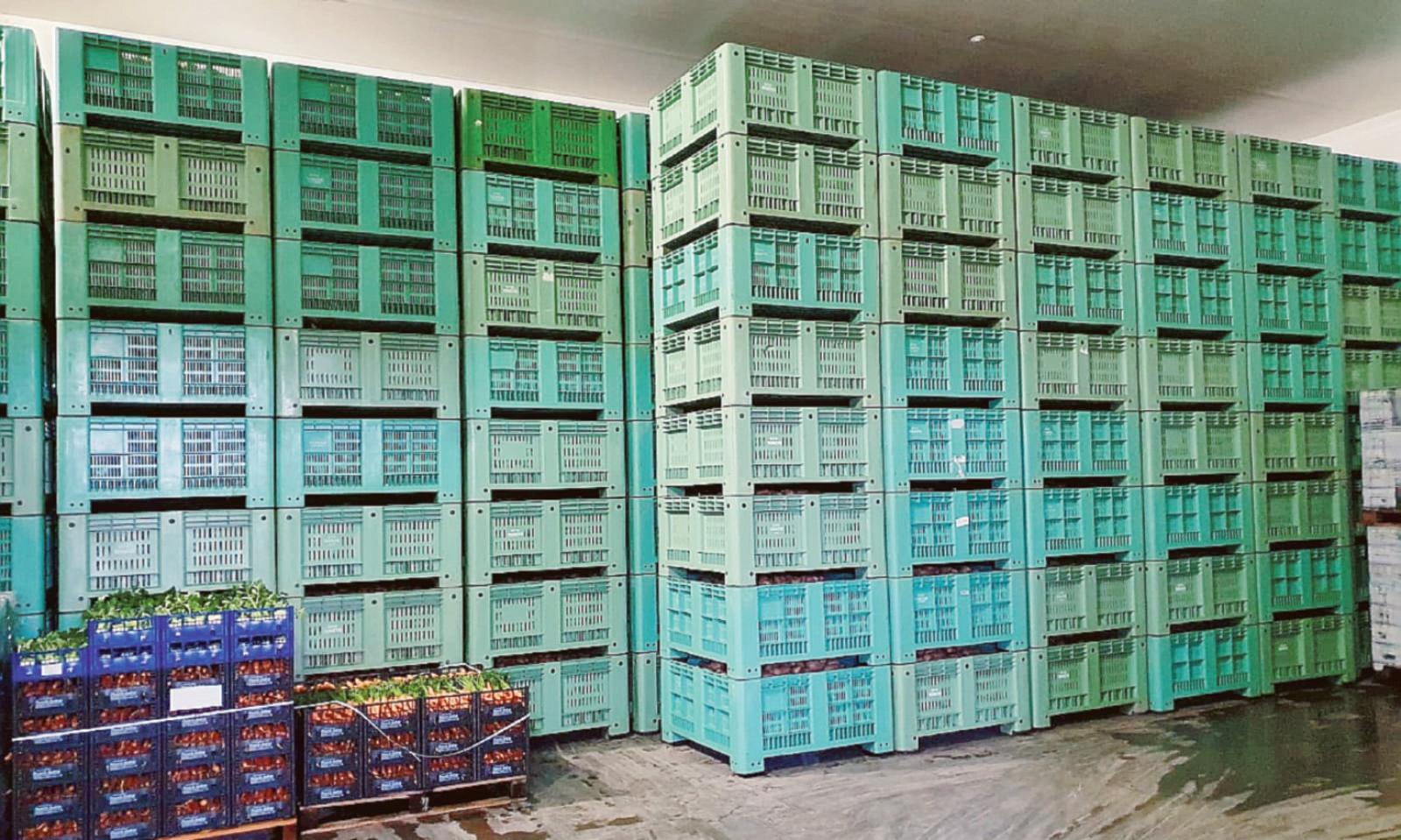 Crociere ferme per Covid, patate invendute, "Venite a prenderle"