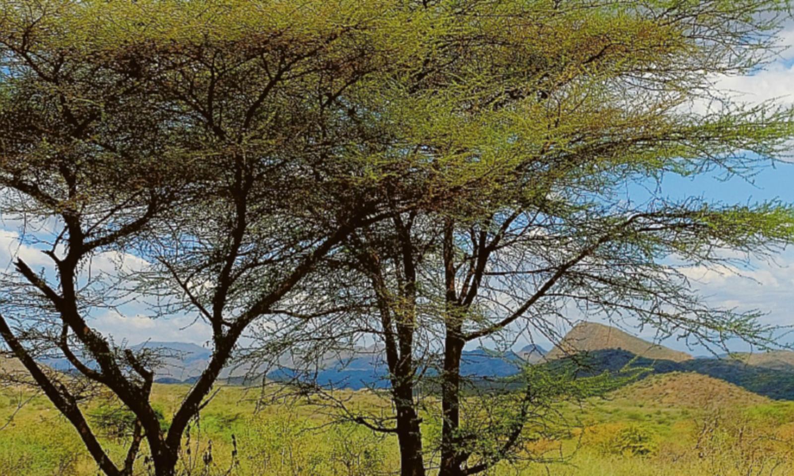 Etiopia e Venezia, scatti d&rsquo;autore