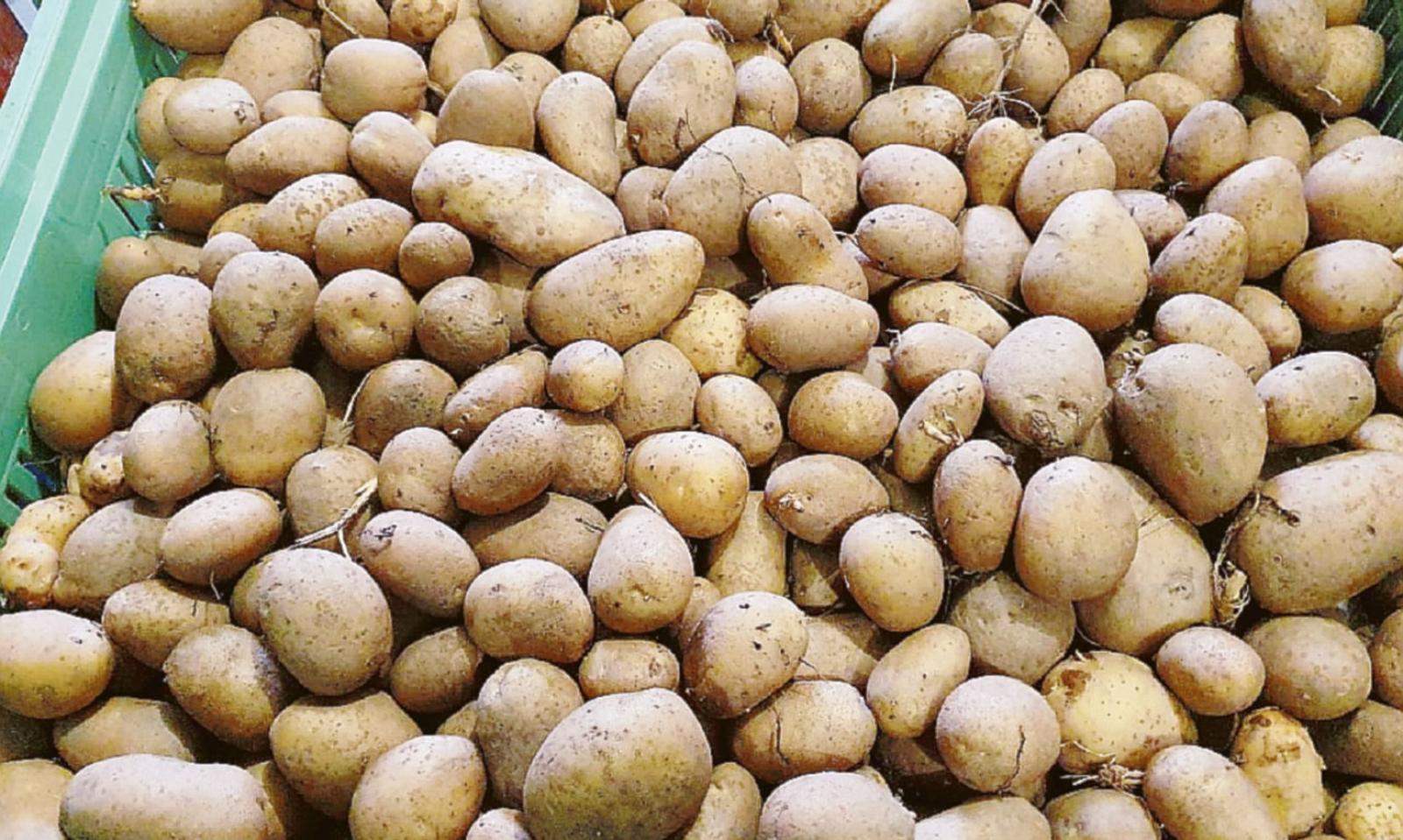 Ortaggi d&rsquo;oro, rincari fino al 900%