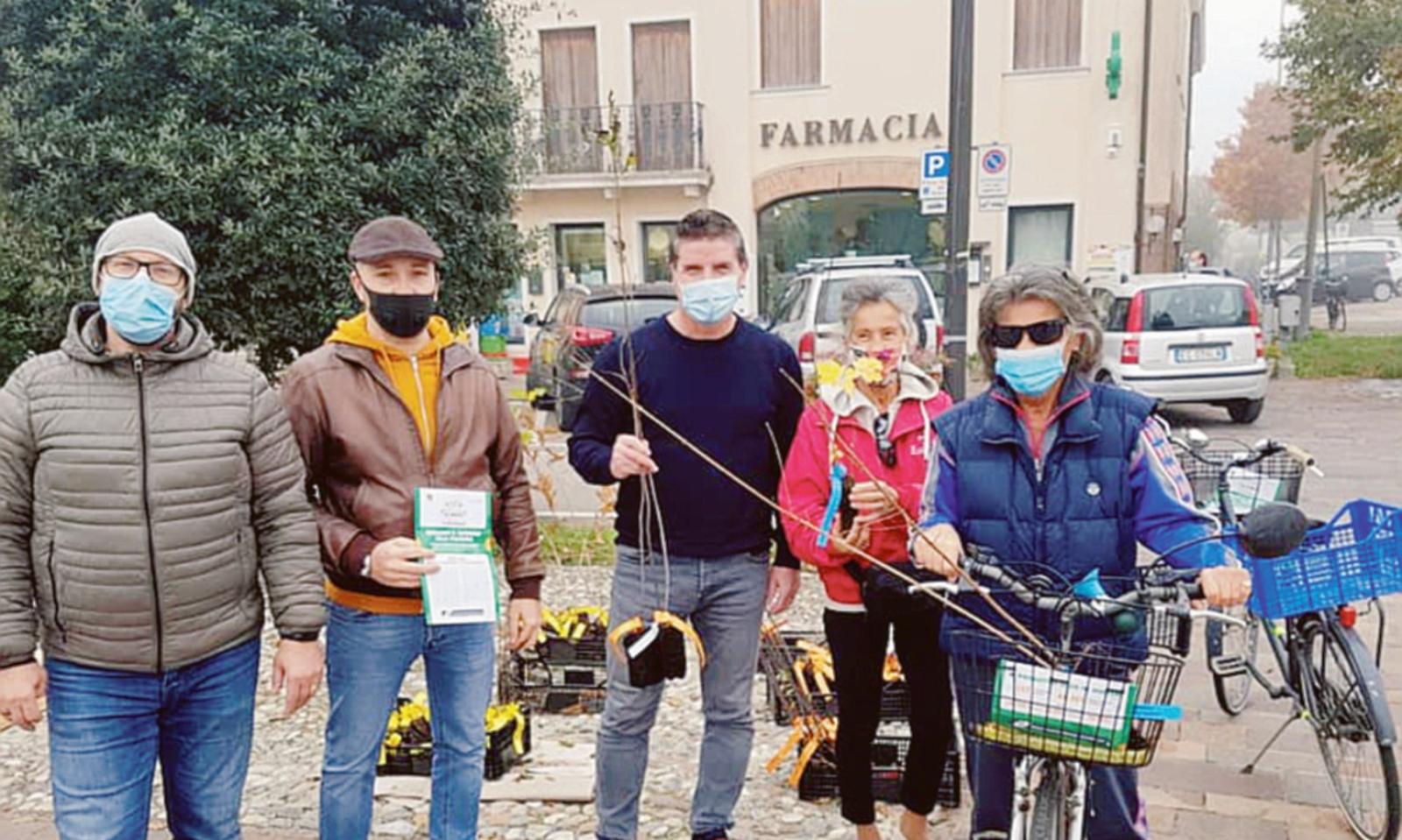 300 alberi gratis per vivere meglio