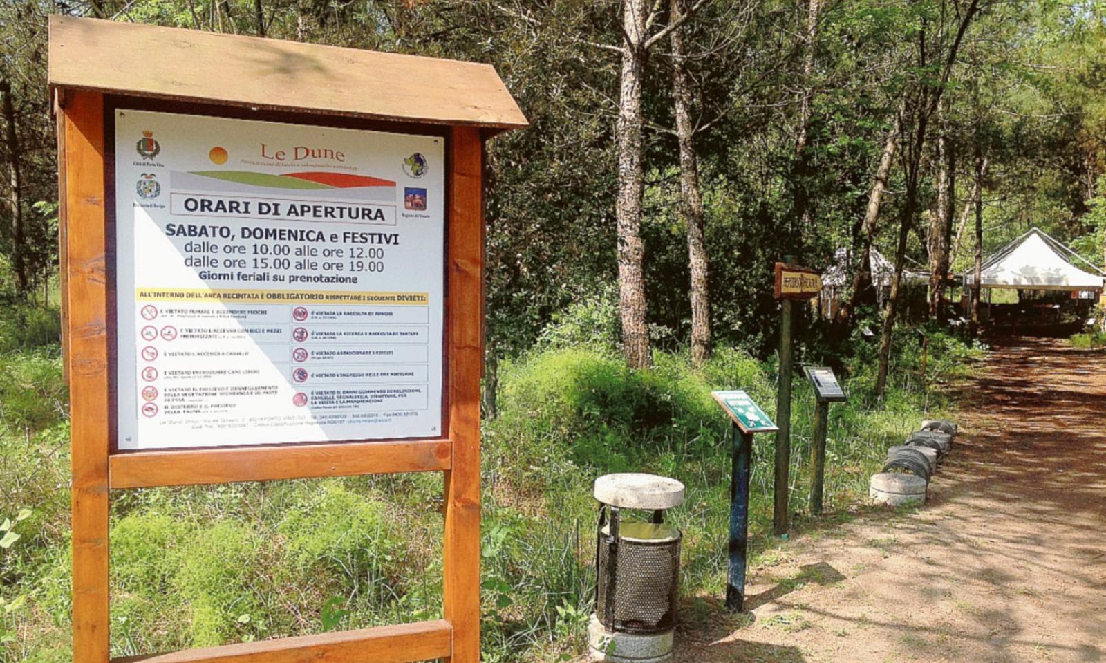 Cinque giovani si prenderanno cura de Le Dune