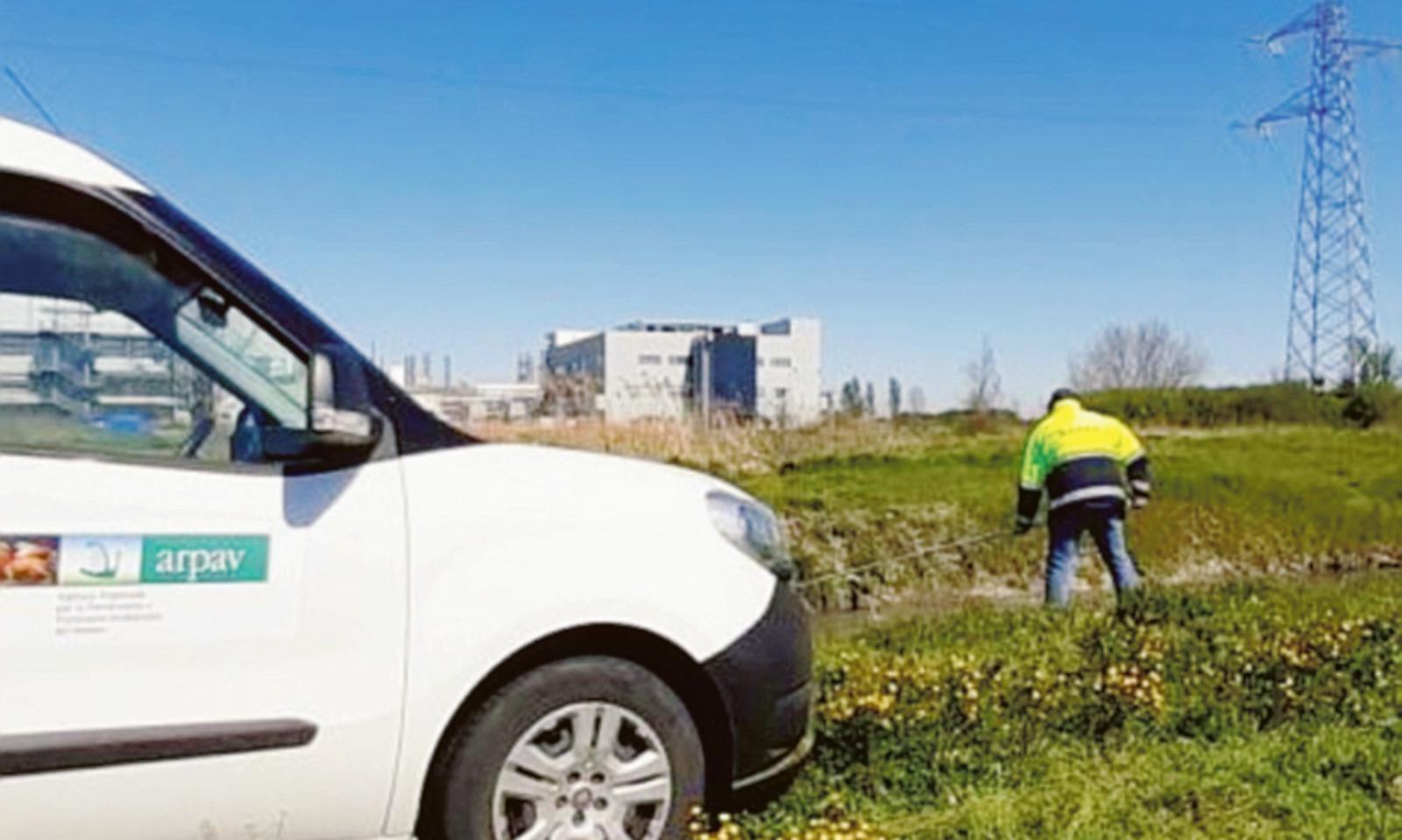 Assediati dai cattivi odori, "La situazione &egrave; insostenibile"