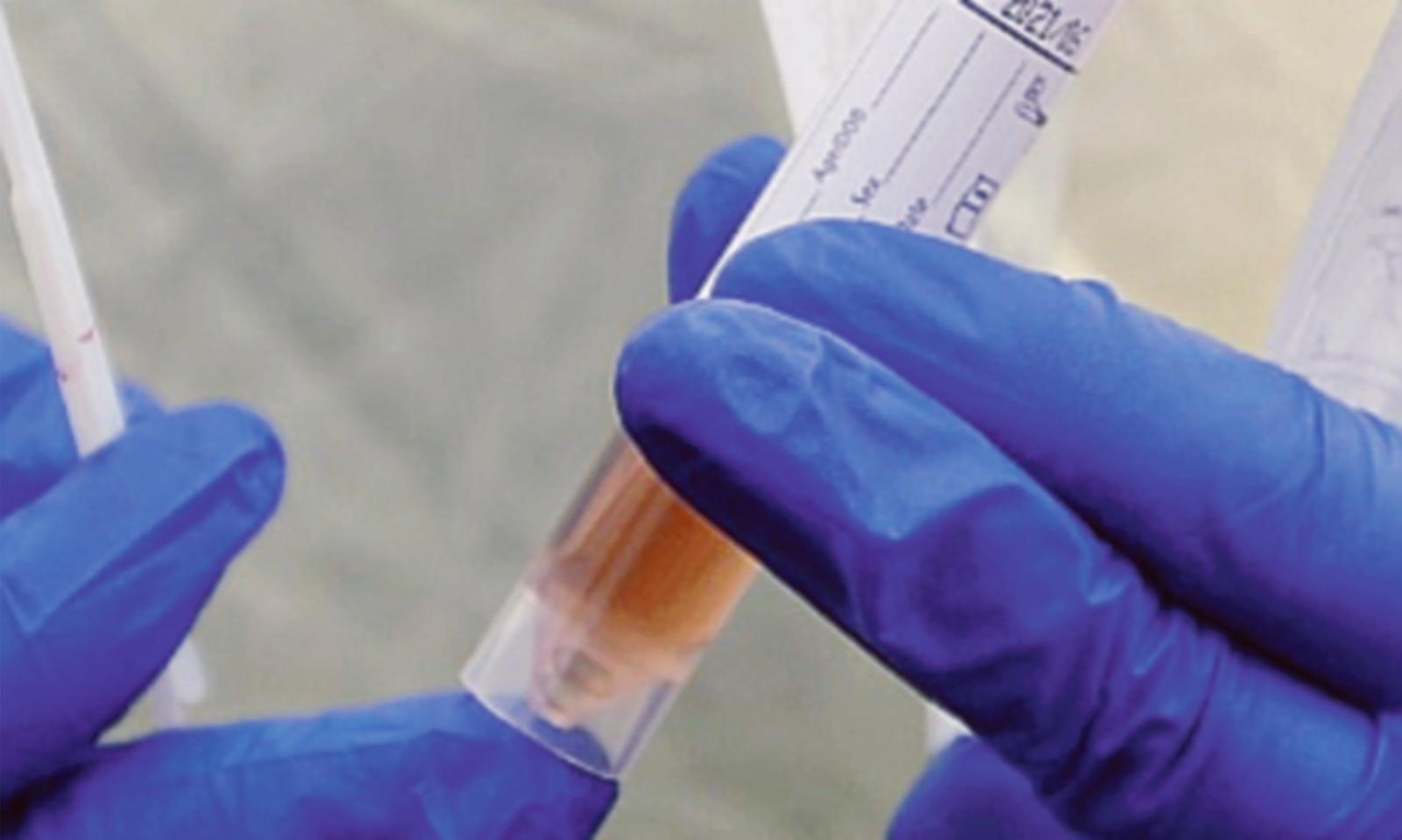 Coronavirus, una materna paritaria in quarantena