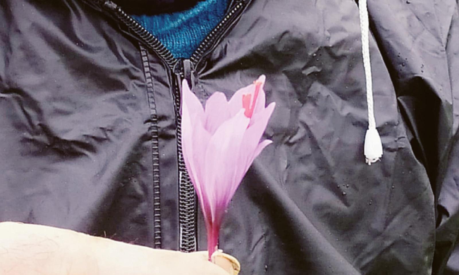 La Casa di Abraham ha scoperto l&rsquo;oro rosso