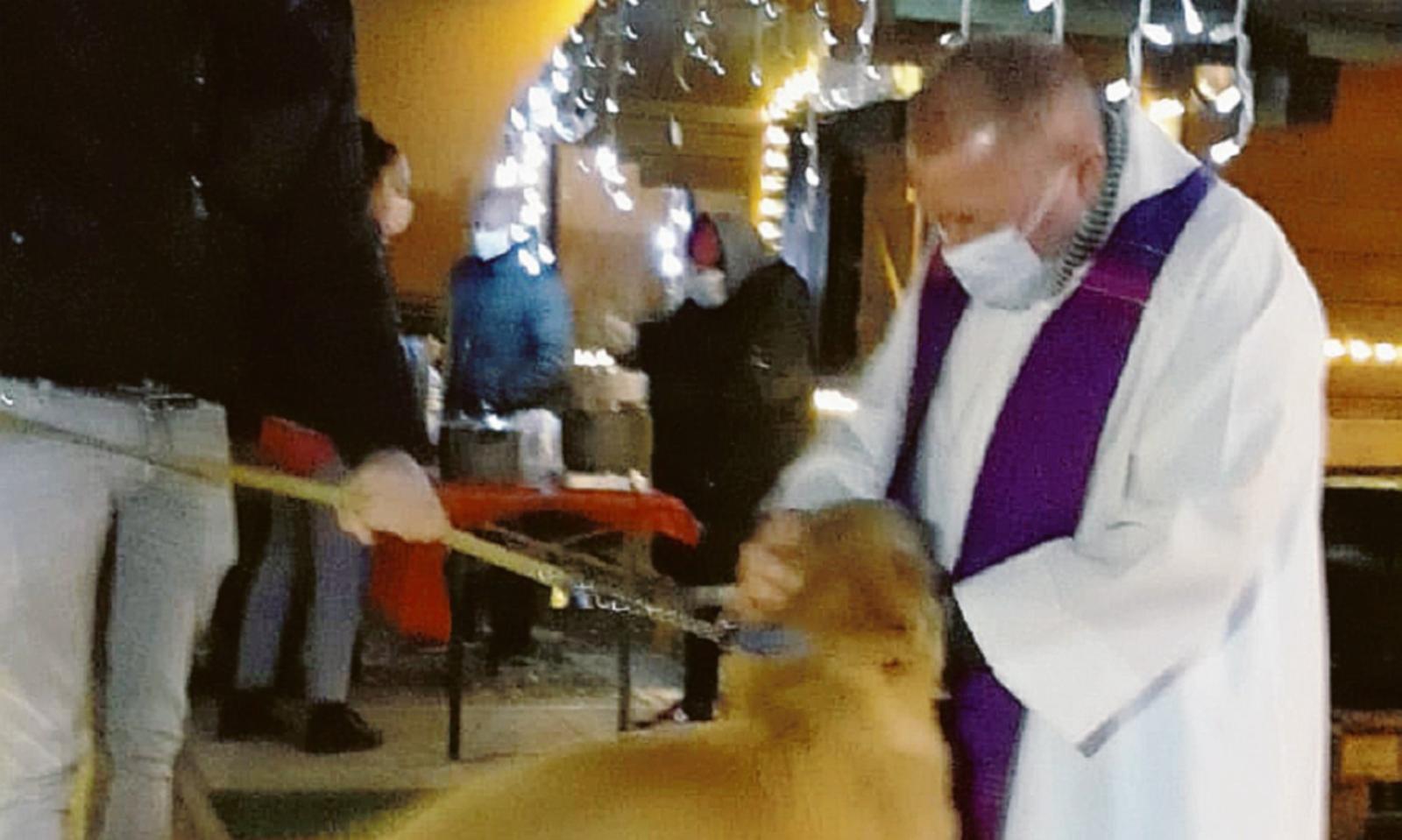 Benedetti i nostri amici a quattro zampe: il rito che emoziona!