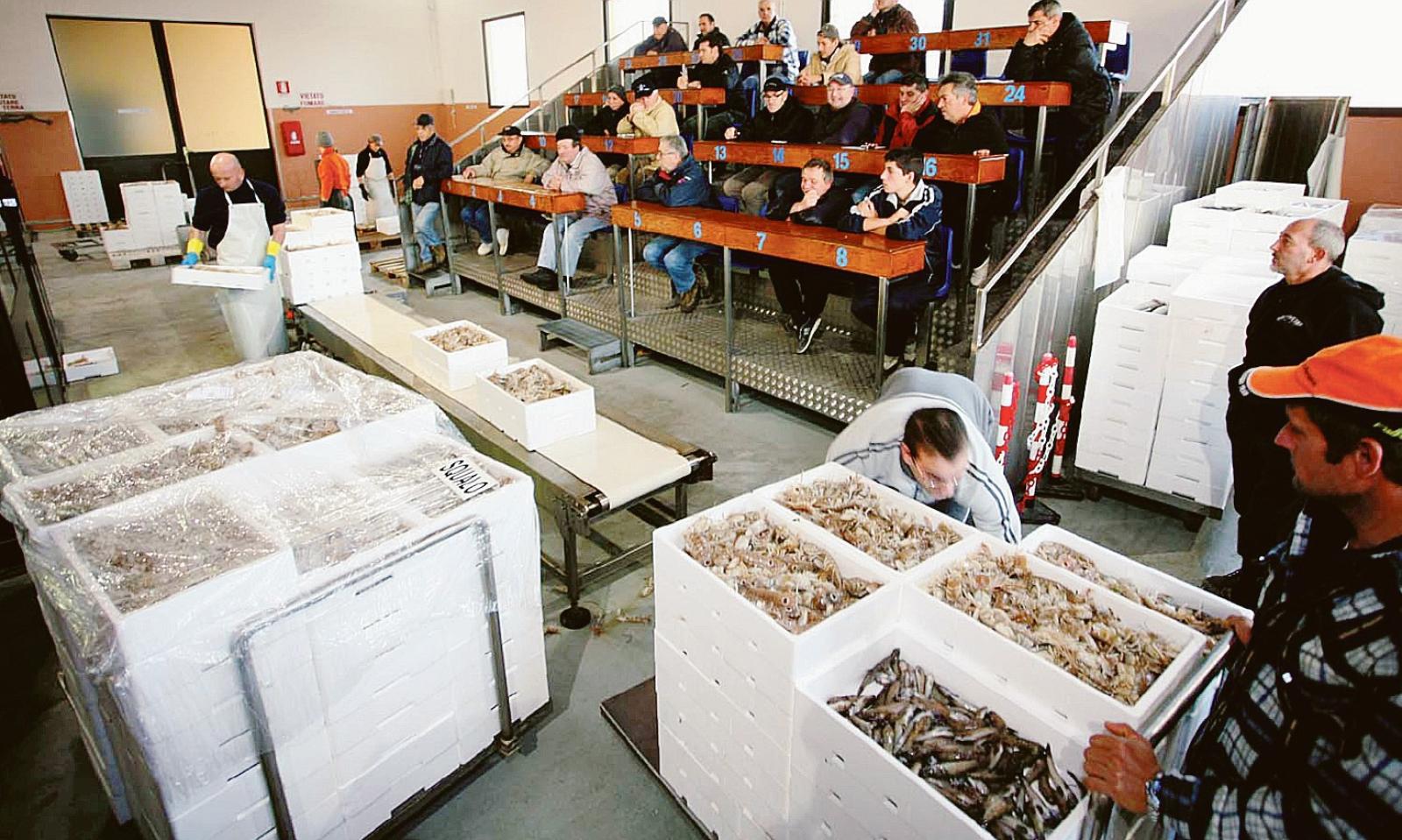 Pandemia, zavorra della pesca. Un anno con il freno a mano tirato