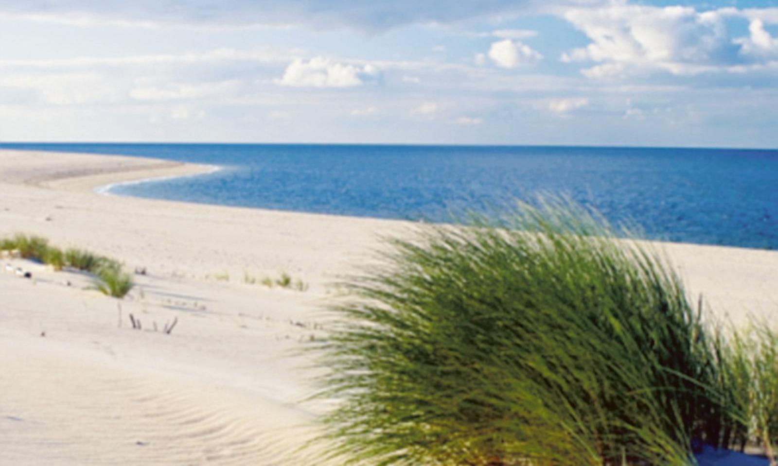 Tutti  a pulire la spiaggia a San Valentino, per amore del nostro mare