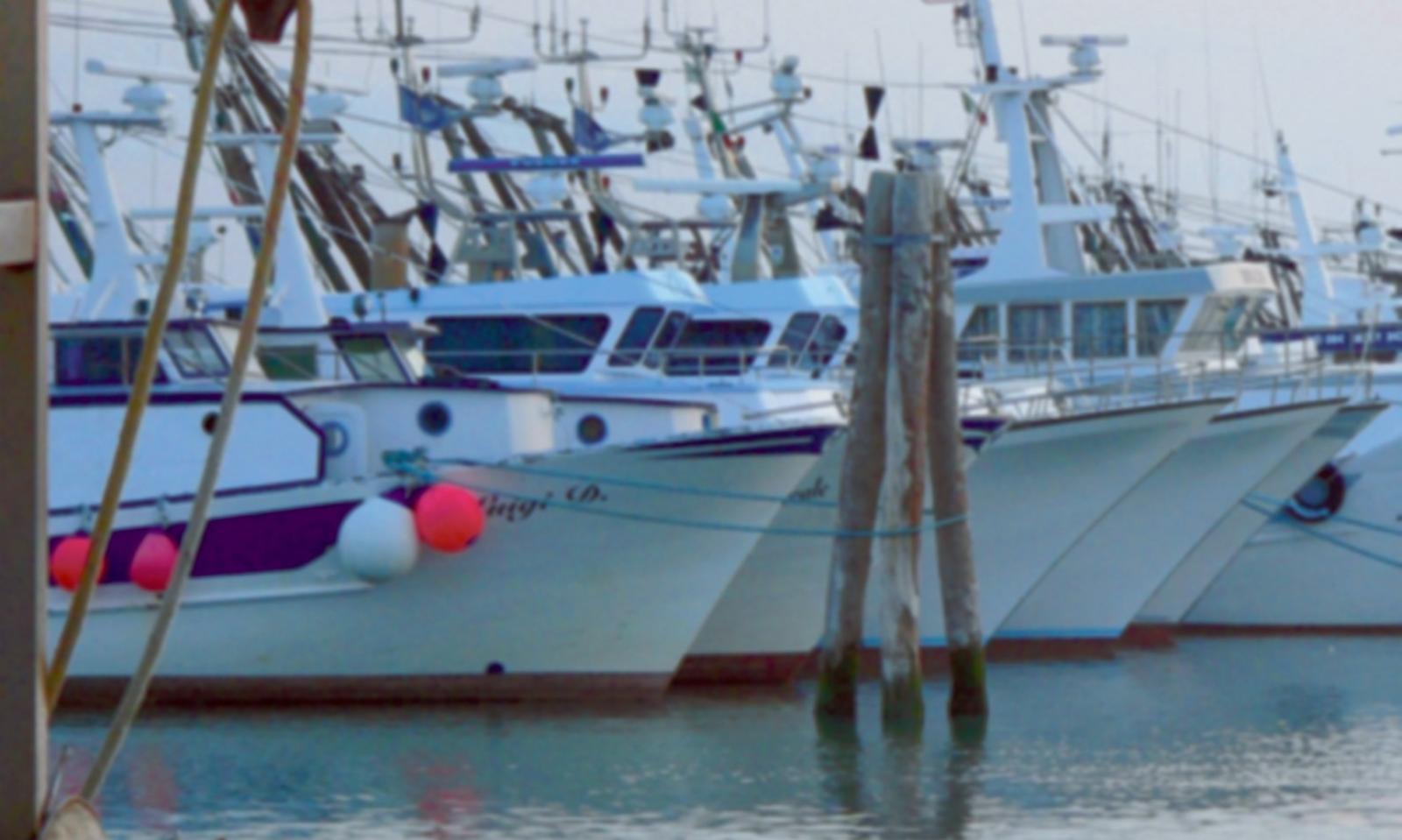 &ldquo;Raddoppio del fermo pesca: rovinoso&rdquo;