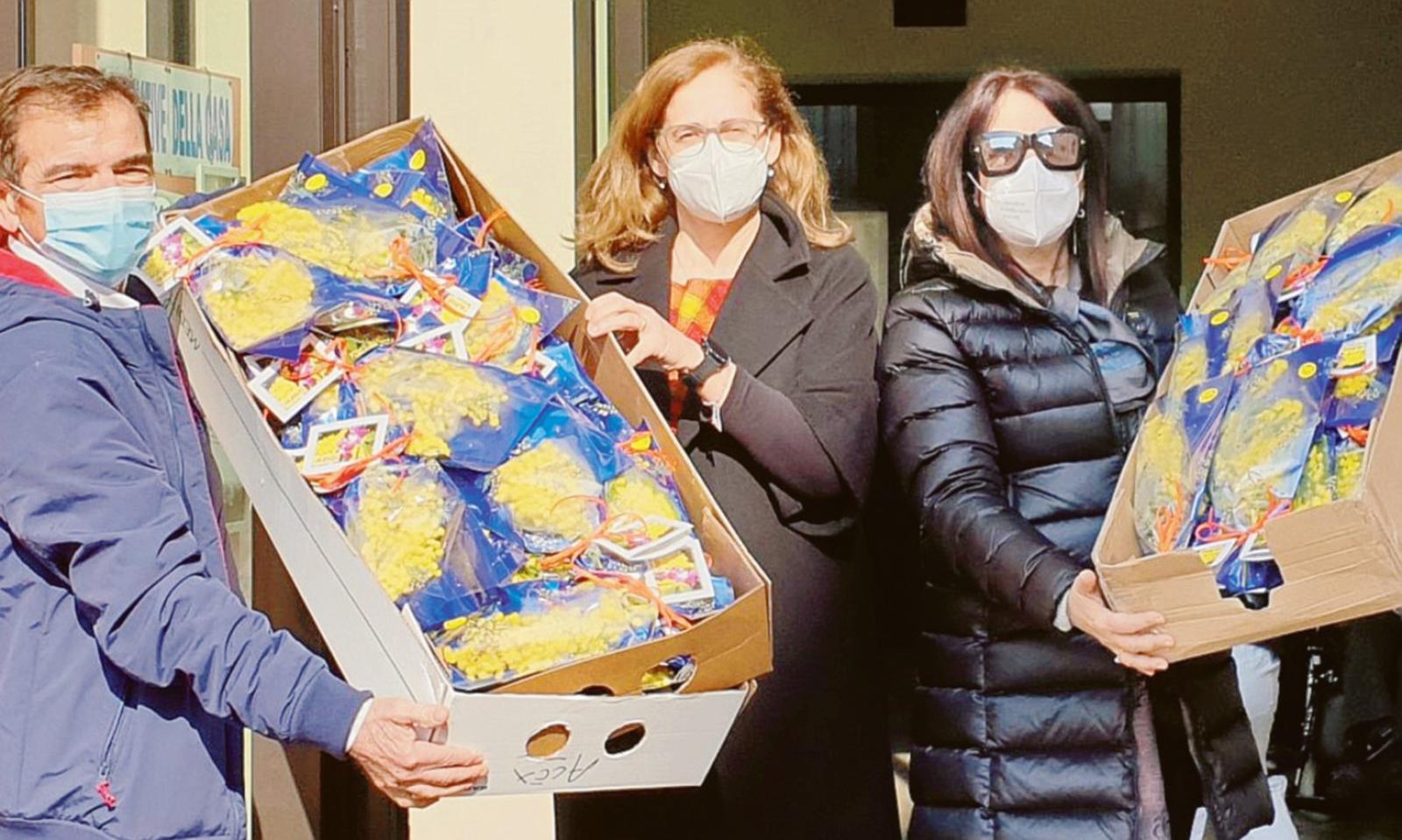 Invasione di mimose alla Casa Albergo