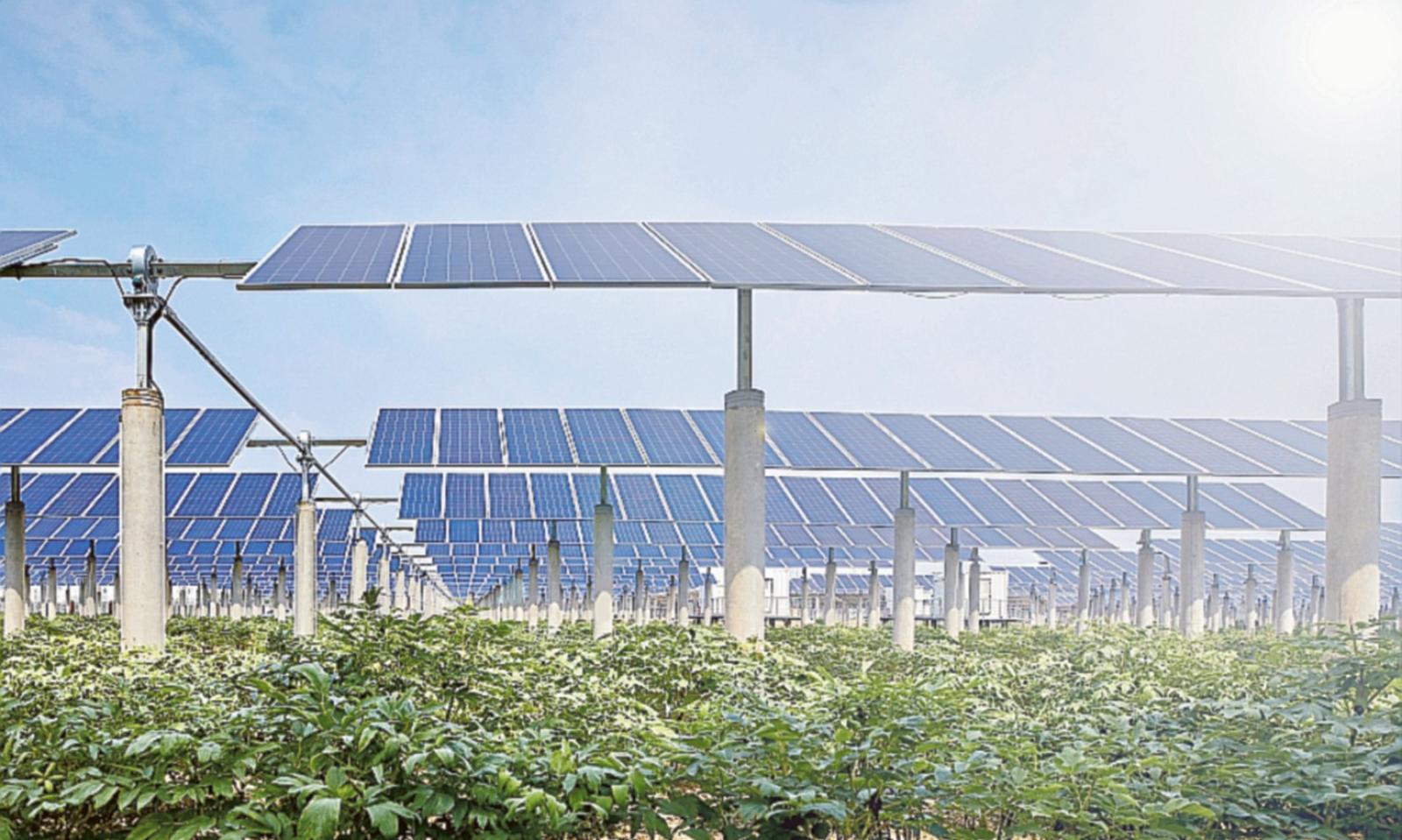 Agrivoltaico, l&rsquo;impianto salva-terreni