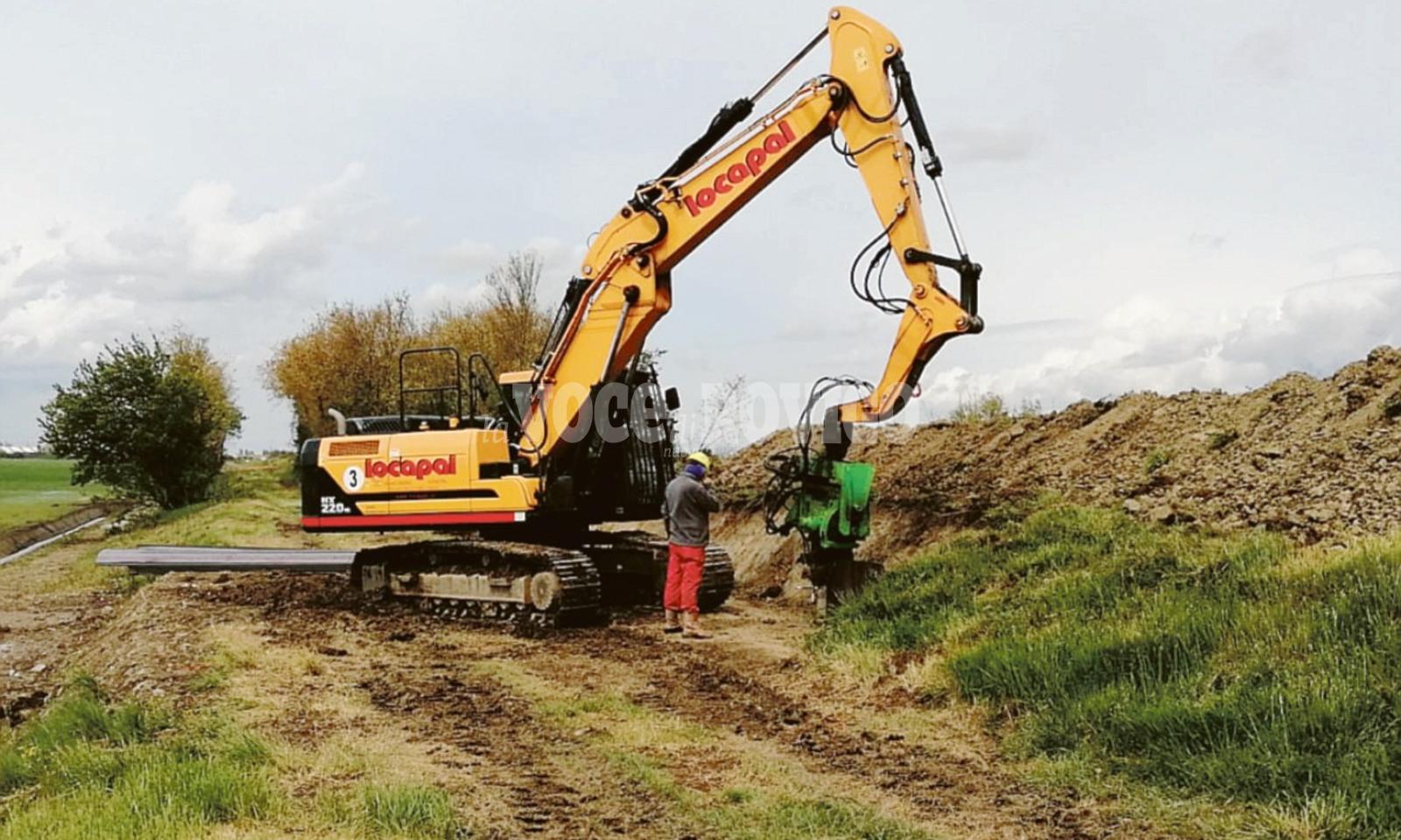 Nutrie rovina canali: &ldquo;Intervenire&rdquo;