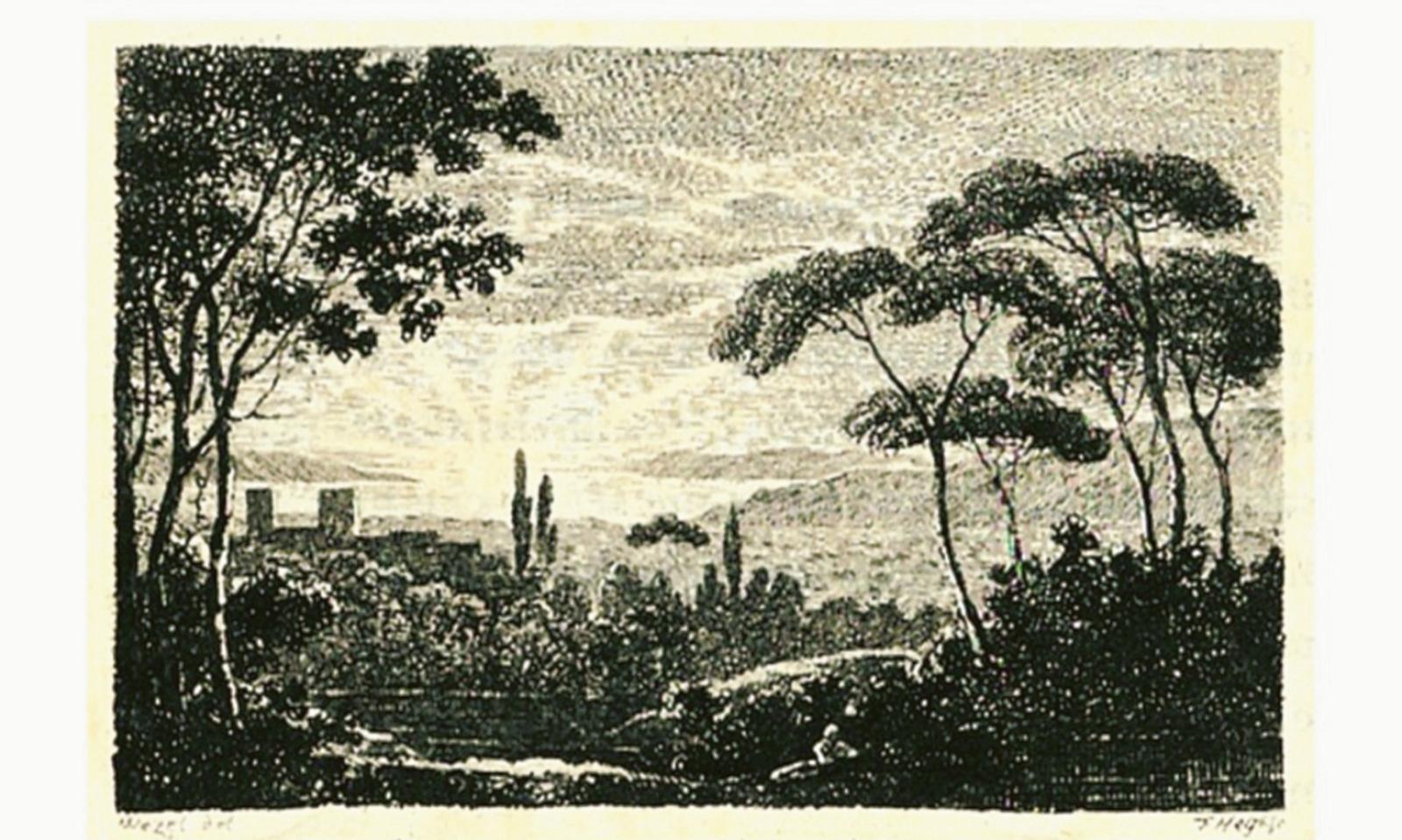 Quelle luci ambientate a Rovigo