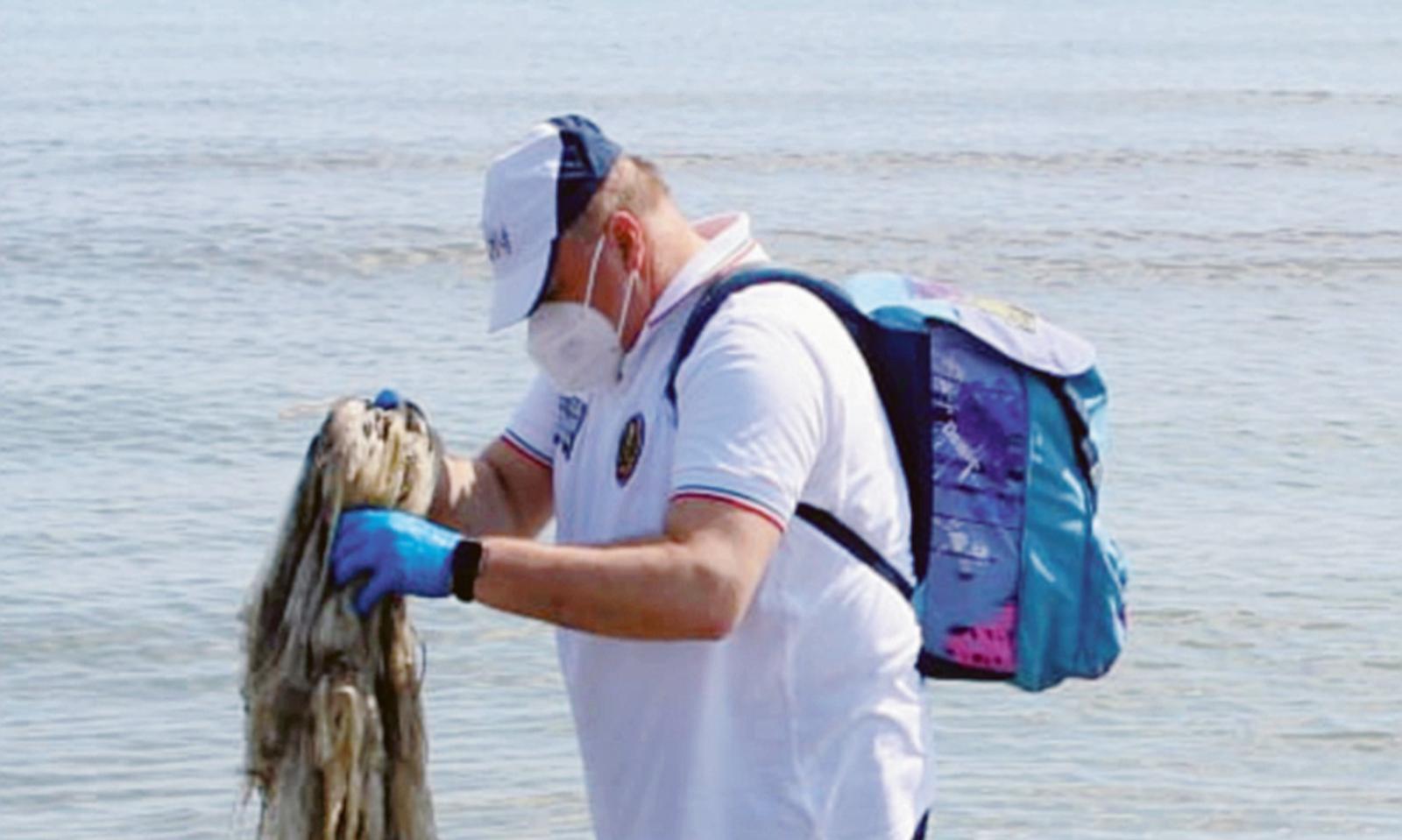 Cavalieri dell&rsquo;ambiente in spiaggia