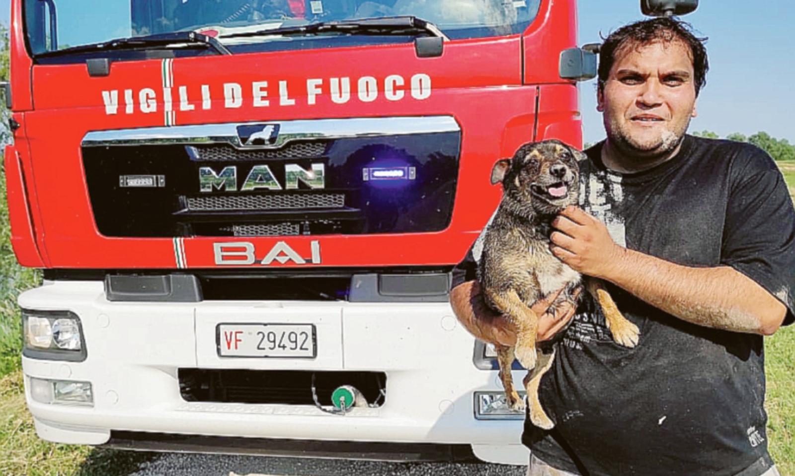 Cagnolino cade nell&rsquo;Adige, salvato dai pompieri