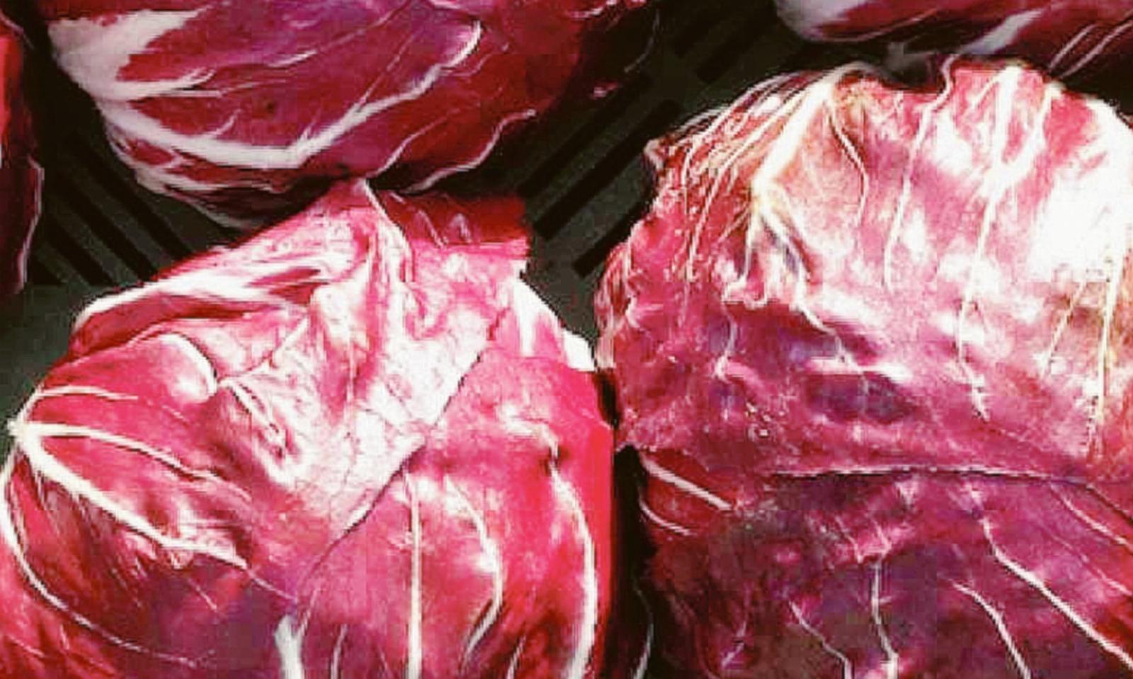 chioggia  radicchio  mercato ortofrutticolo  prezzi  