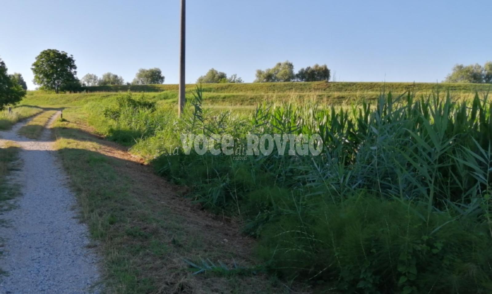 ambiente  badia polesine  villafora  frazioni  fontanazzo  adige  