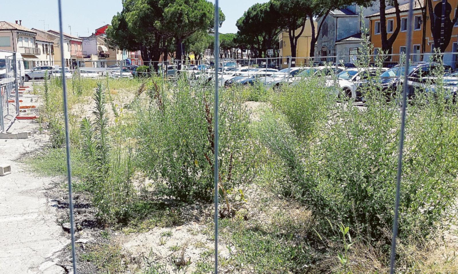 Ex Pescheria, regna l&rsquo;incuria