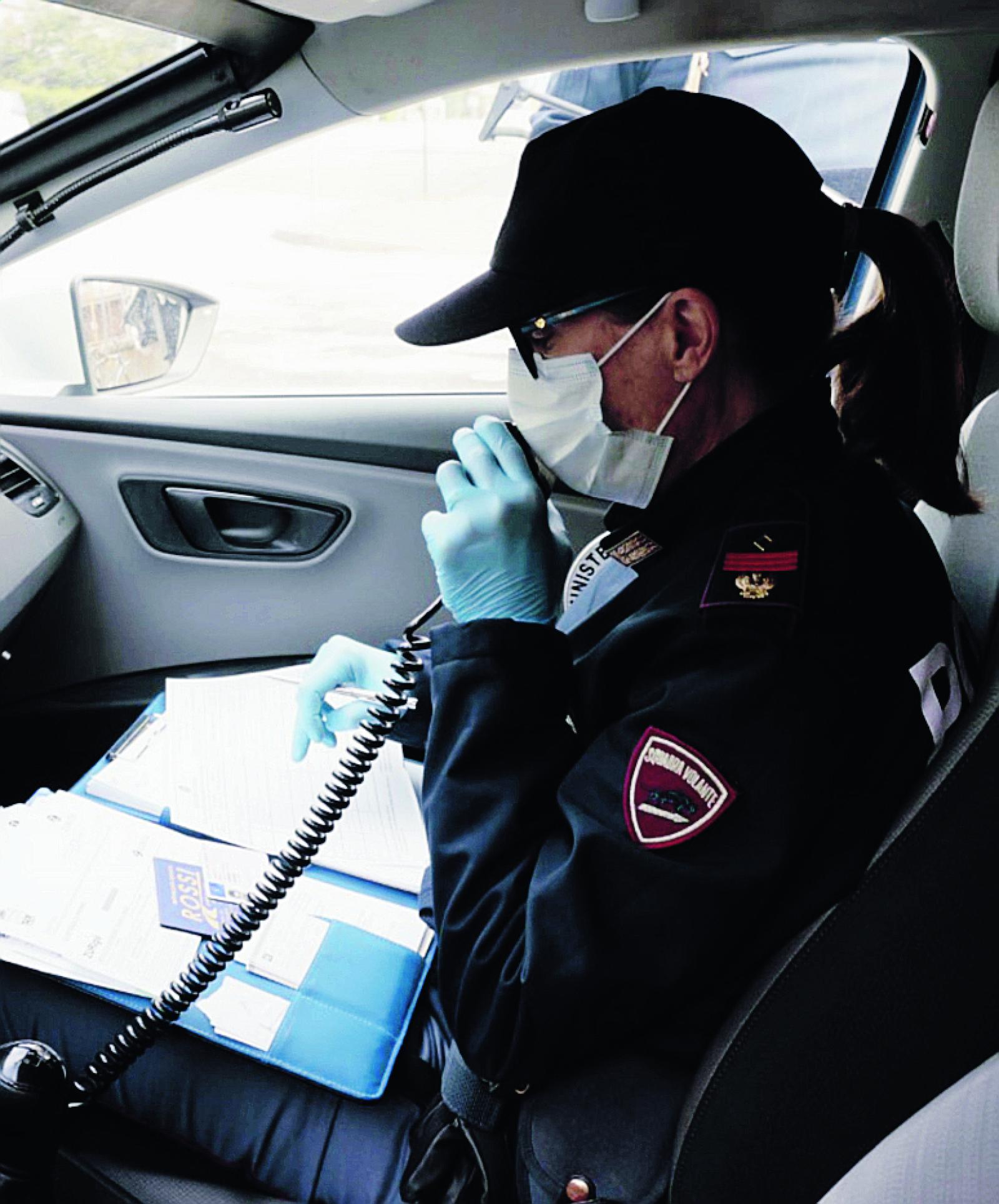 Animali sgozzati: indignazione