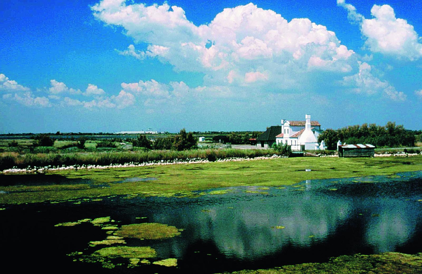 &ldquo;Bracconaggio da stroncare&rdquo;