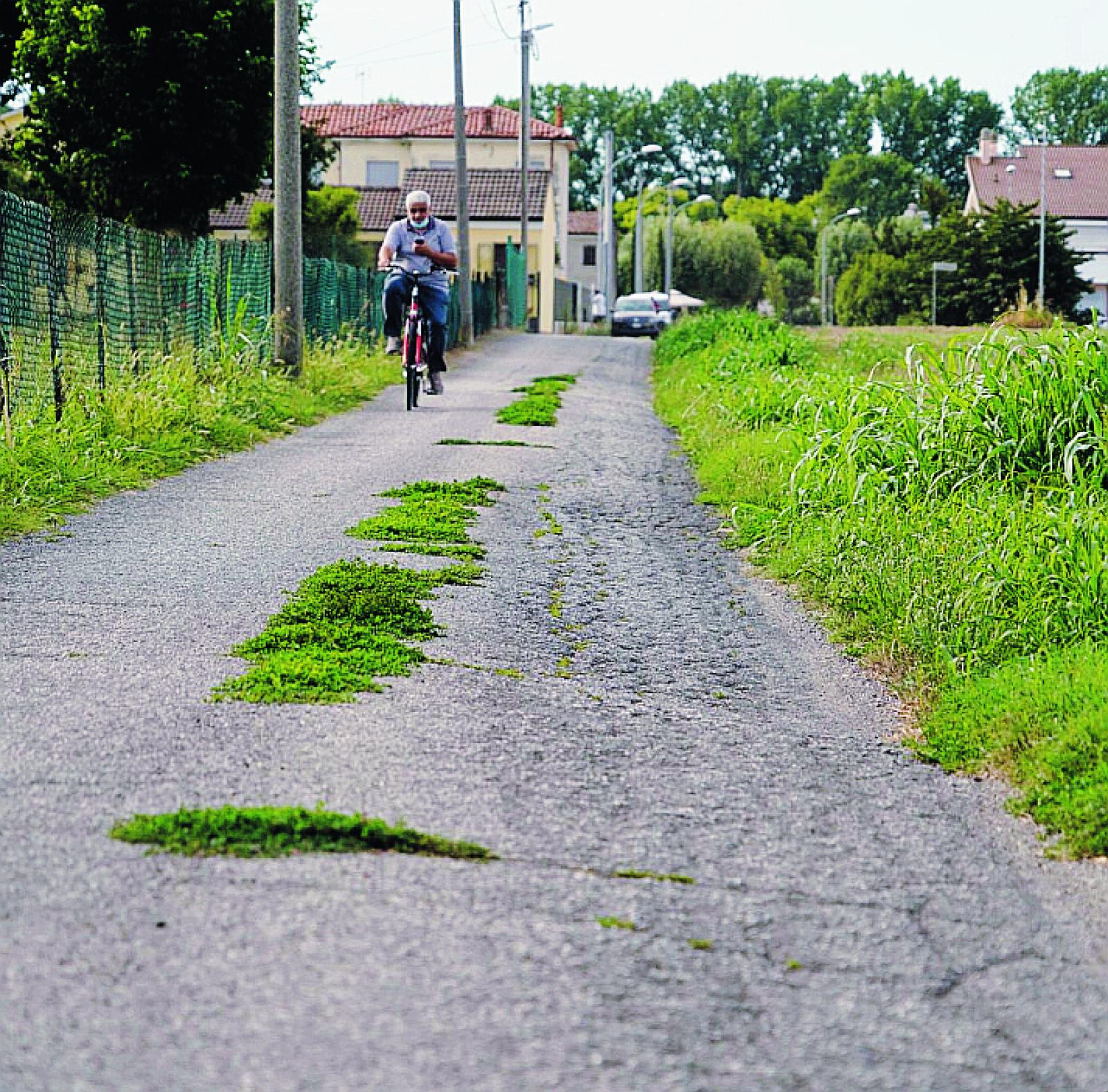 Via Pescara la vegetazione cresce tra le buche