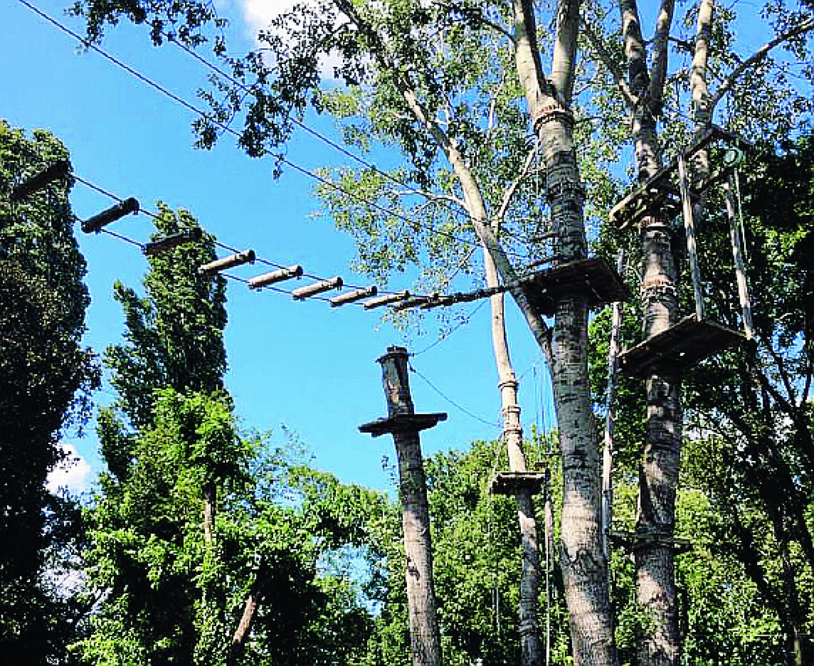 &ldquo;Live Park&rdquo;, la concessione &egrave; rinnovata