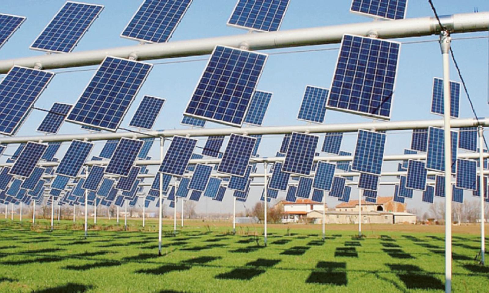 L&rsquo;agrivoltaico che sostiene l&rsquo;economia