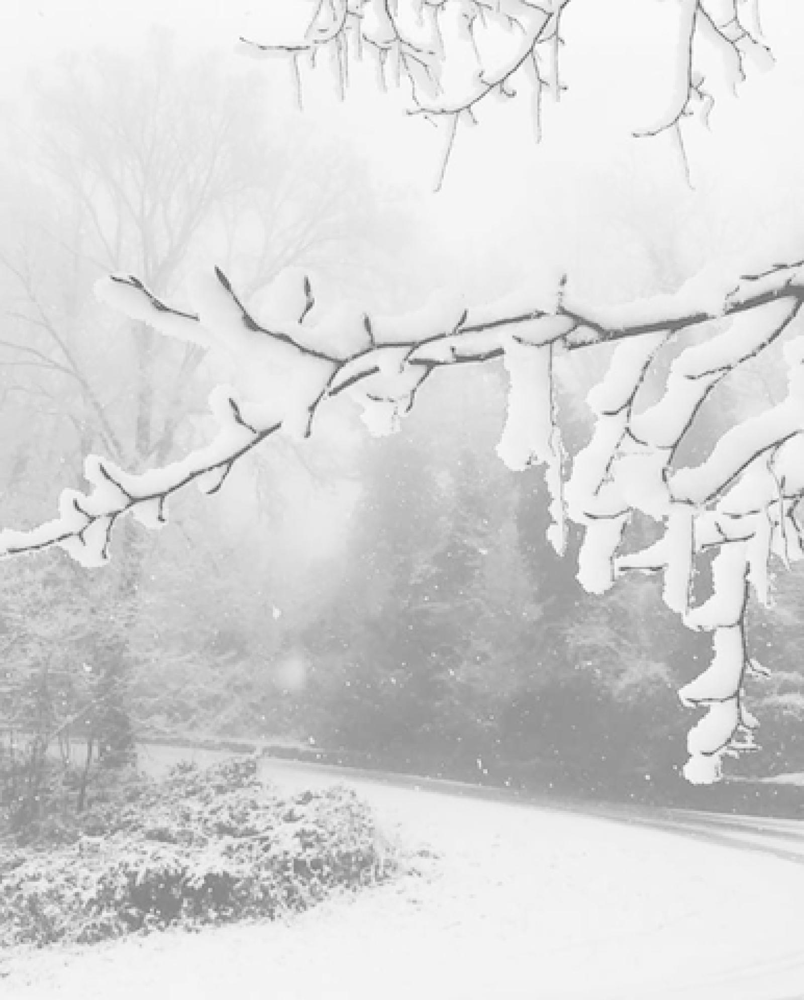 27939456_1625171964214908_2039179705_n