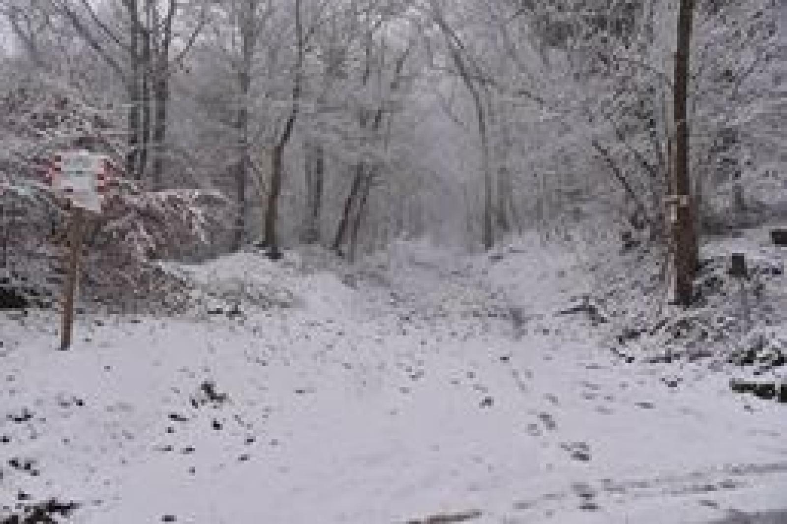 27994410_1625176840881087_691018109_n