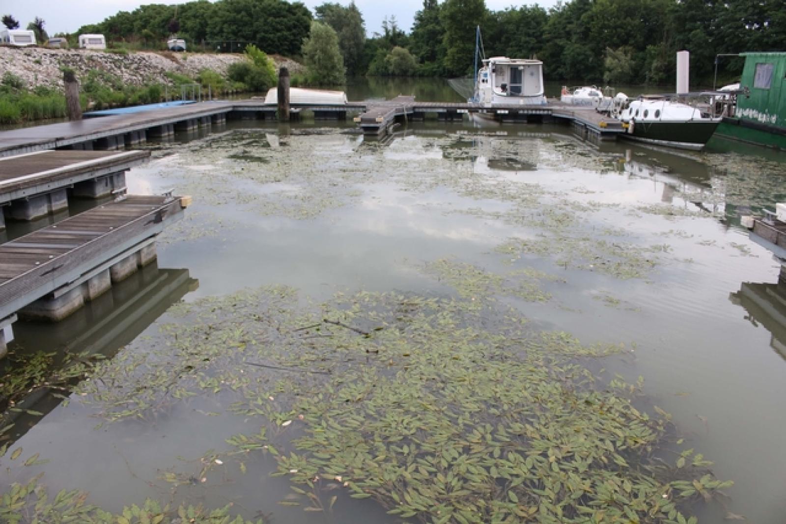 Porticciolo Canoe Interporto 10