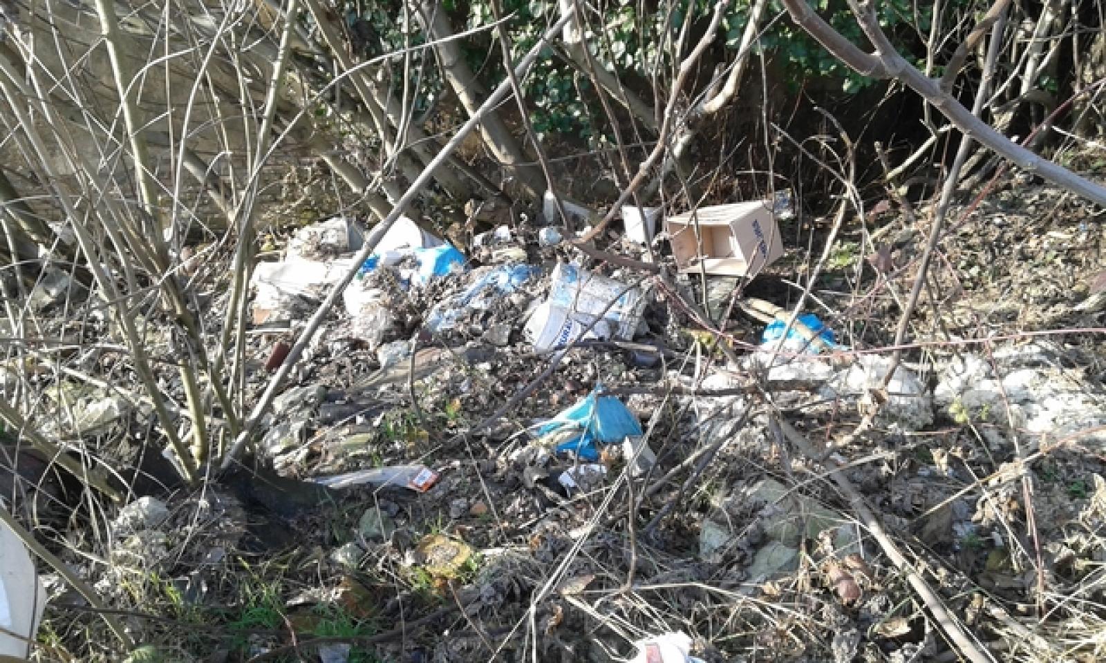 Rifiuti a stienta po (5)