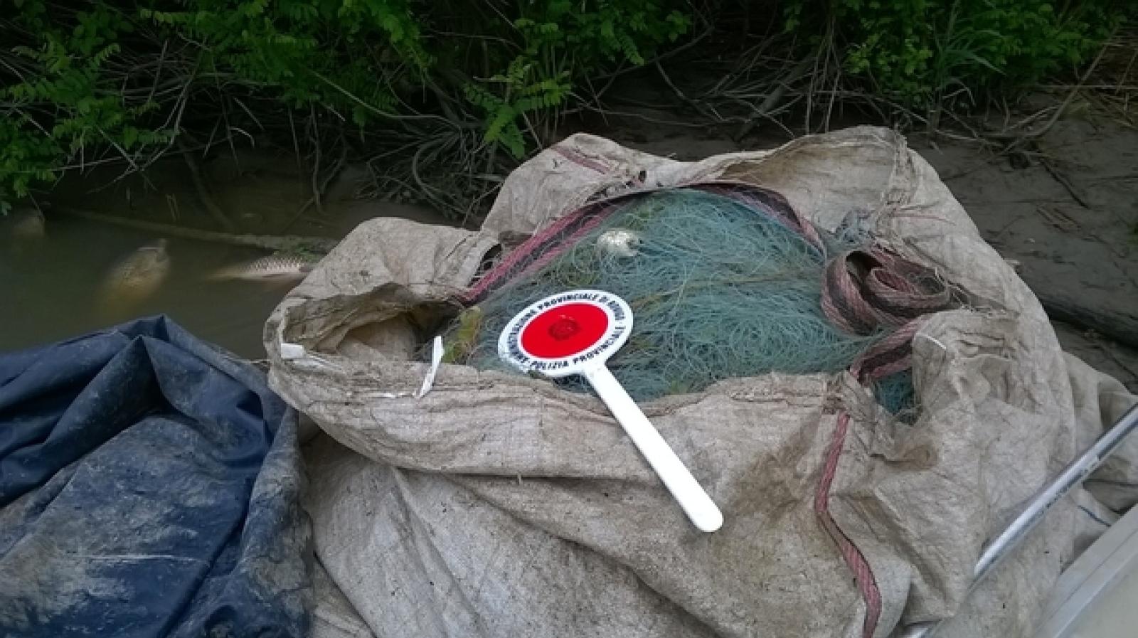 pescatori di frodo rovigo provincia (2)