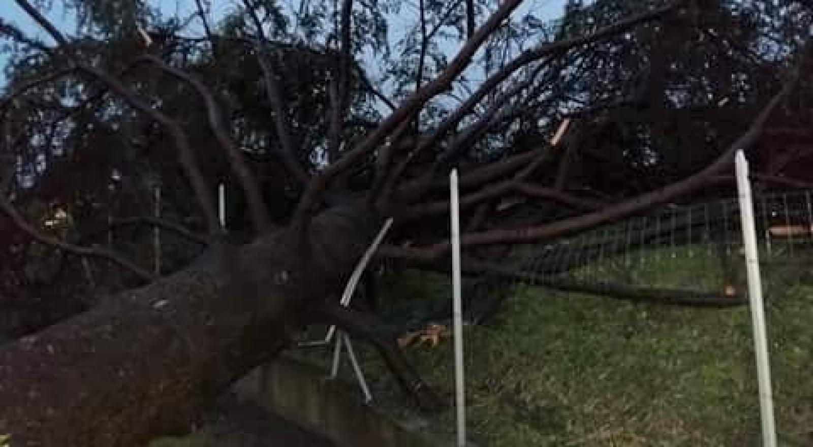 maltempo giugno 20166