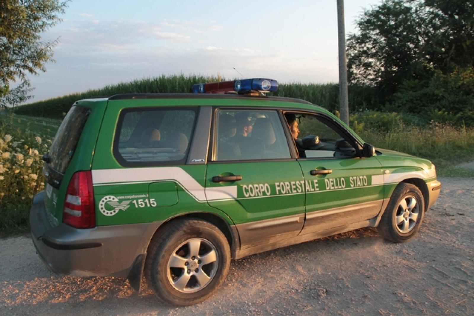 Bosaro campo OGM Guardia Forestali 18