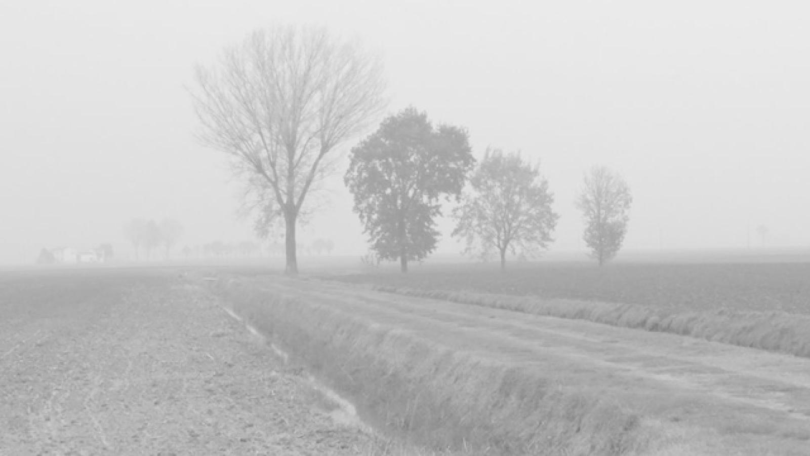 nebbia (4)