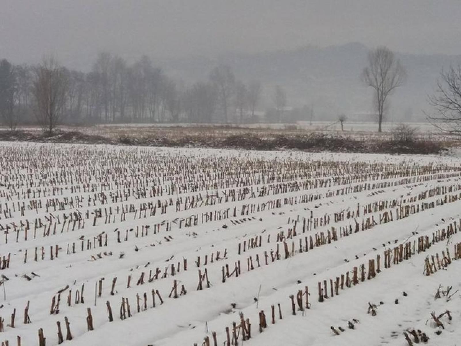 Pronto il Piano neve per affrontare al meglio la stagione 