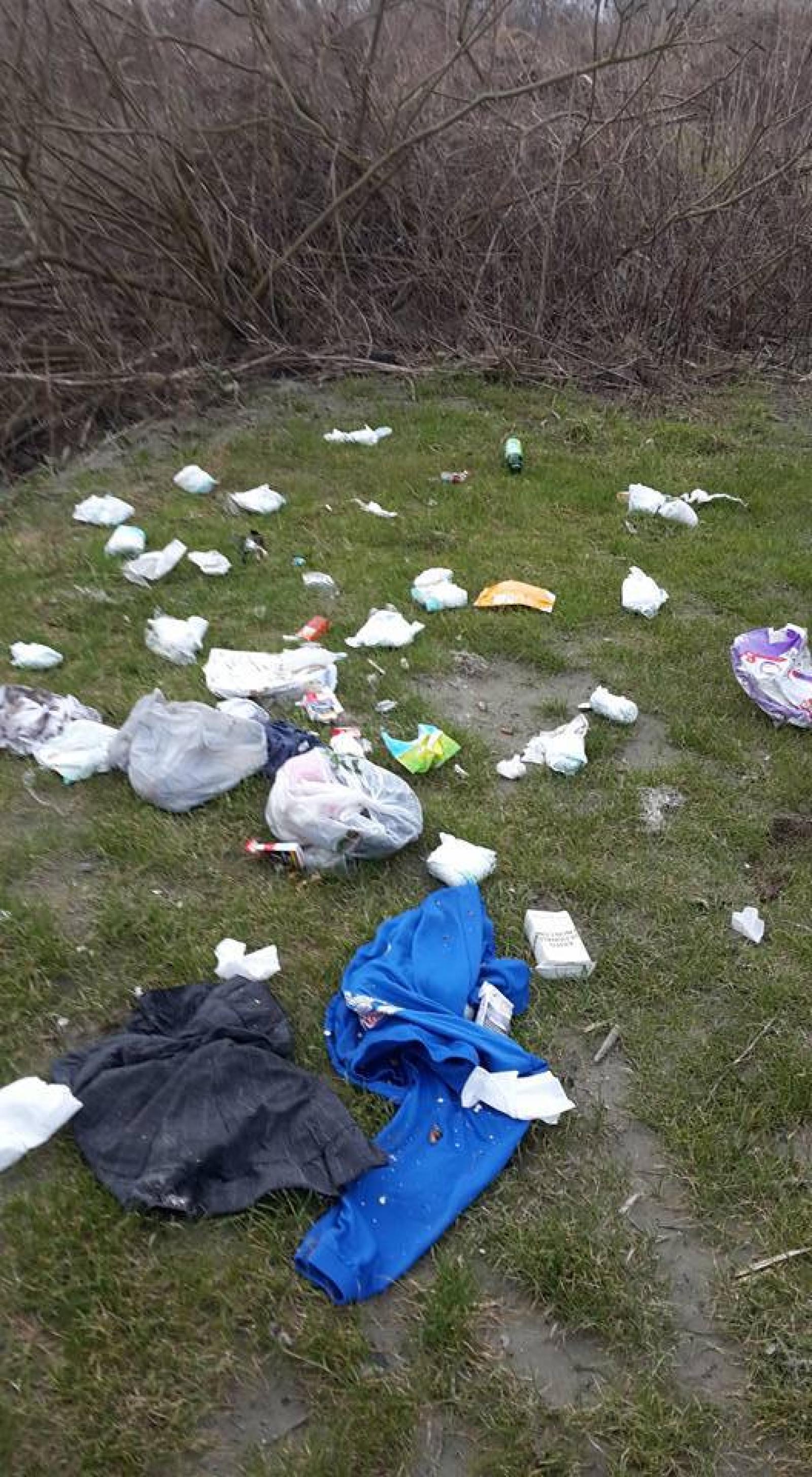 BOTTRIGHE Rifiuti abbadonati in golena (4)