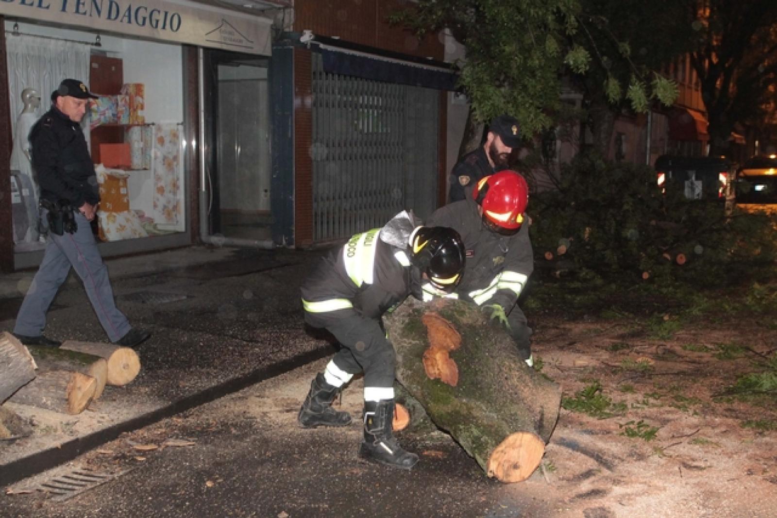 Corso del Popolo Auto Albero Vigili del Fuoco Poli
