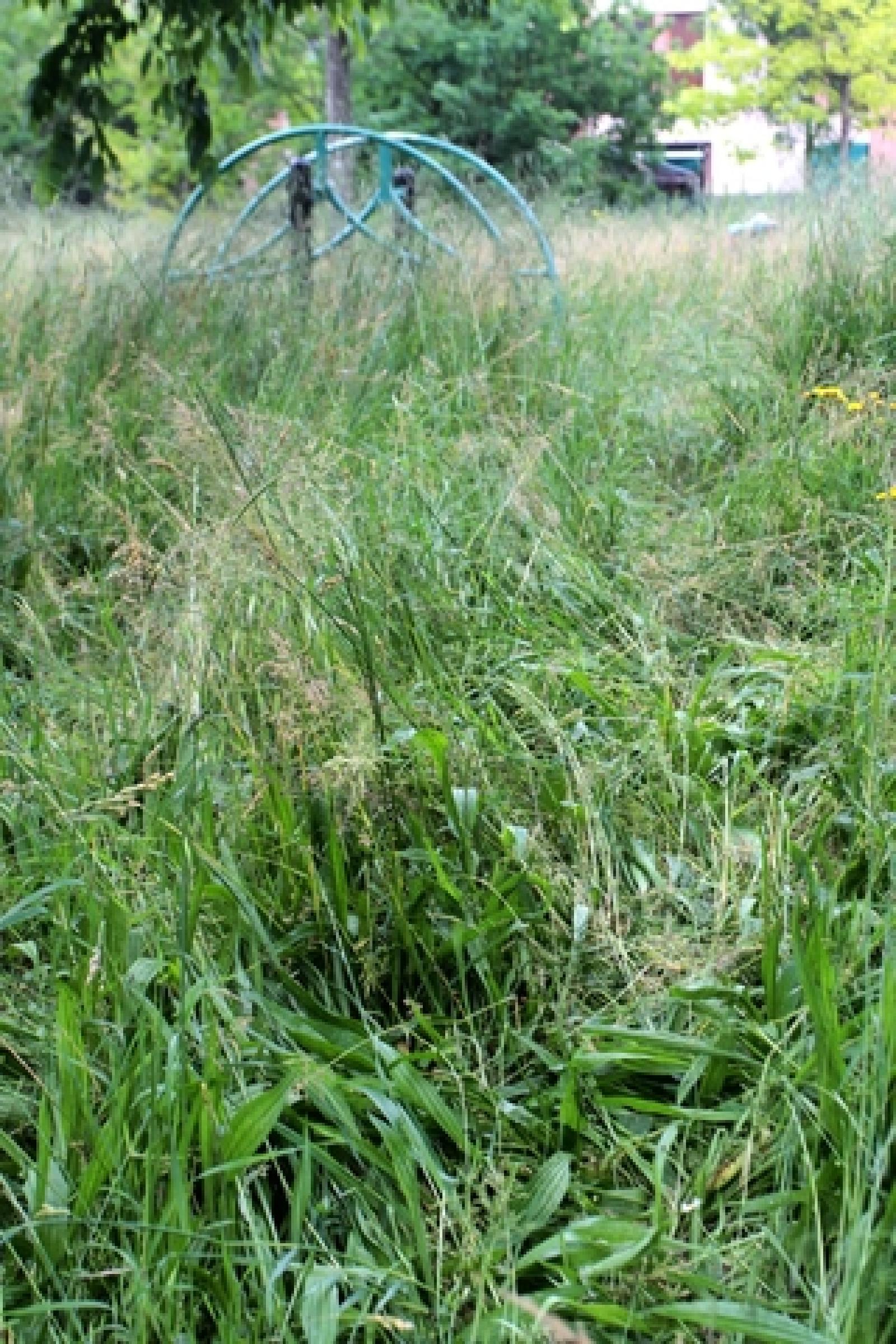 Via Baruchello Erba 11