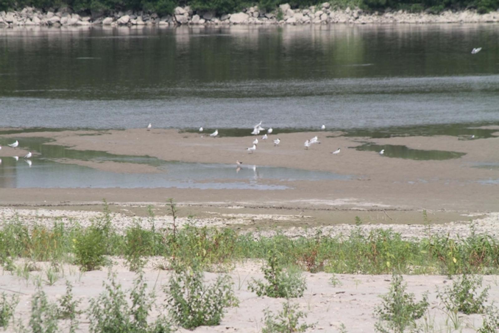 Po Siccit&agrave; 10