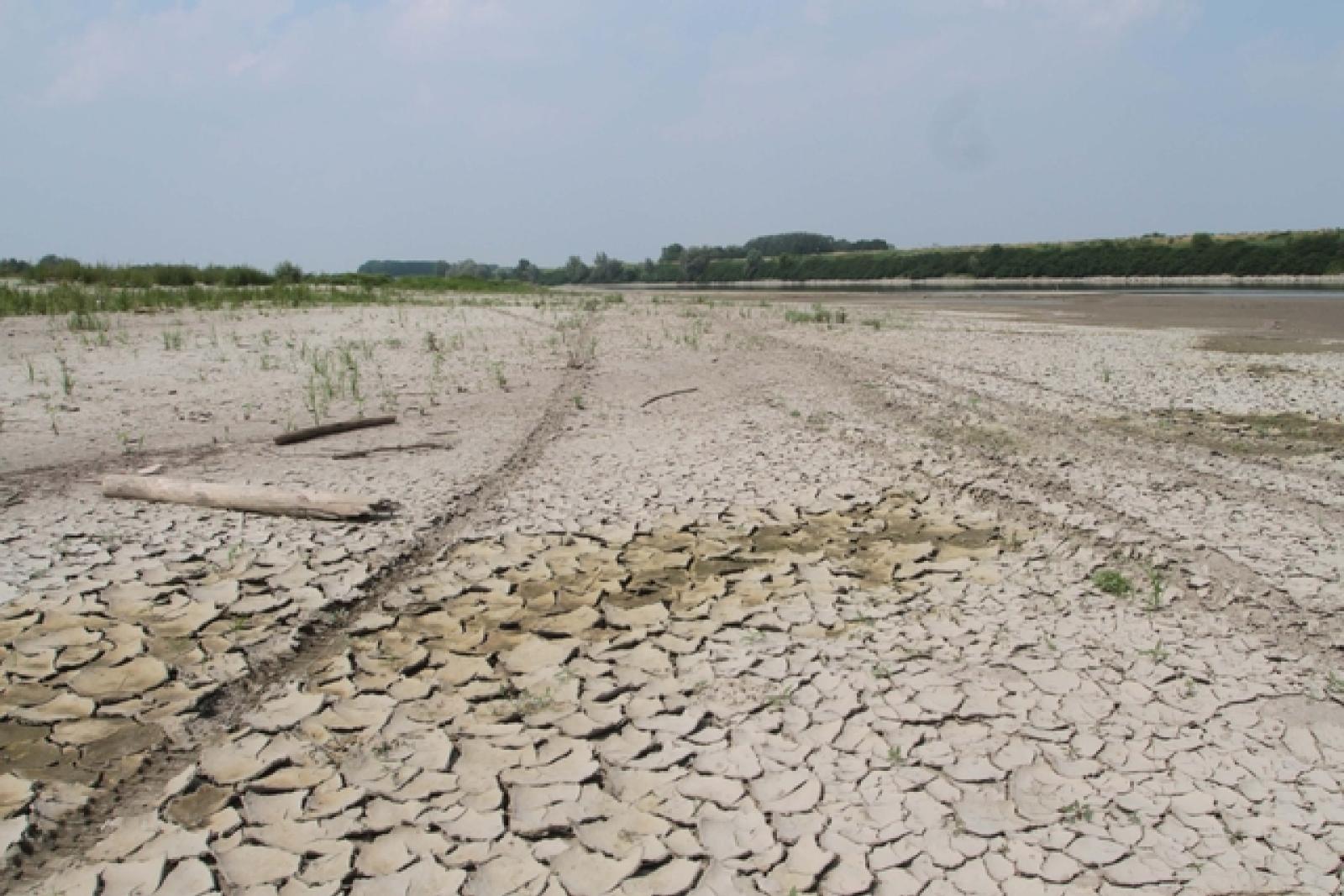 "La salute del suolo": Una conferenza per affrontare una crisi ambientale silenziosa