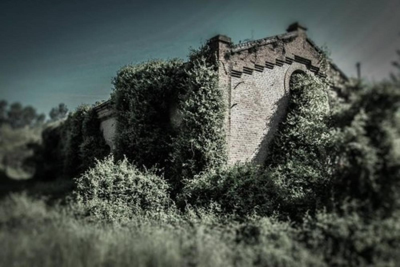 Zuccherificio lendinara (8)