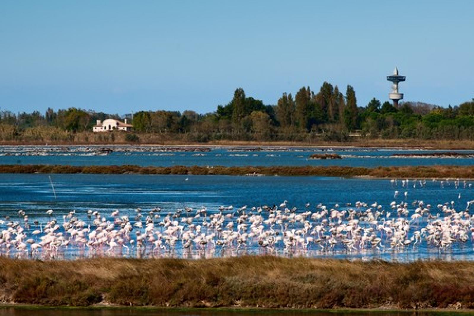 "C'&egrave; un solo meraviglioso Delta, vogliamo un solo grande Parco"