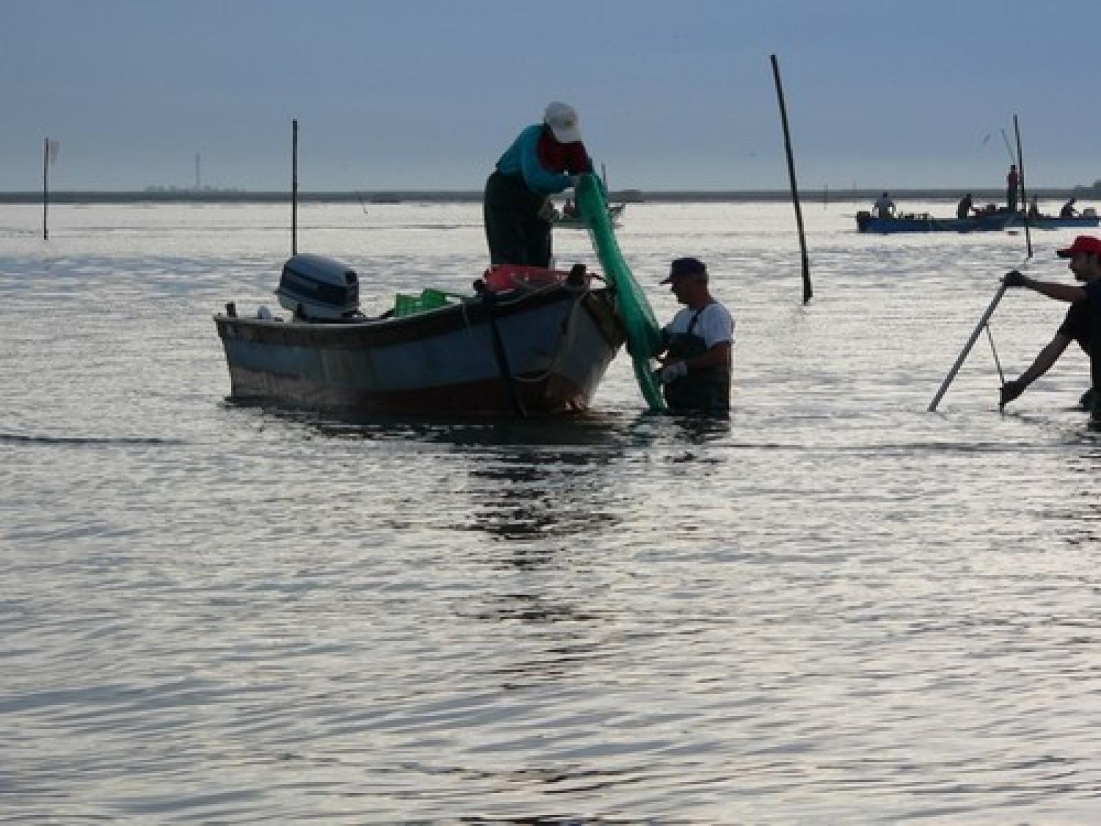 Vongole veraci, psicosi contaminazione: ma &egrave; una bufala