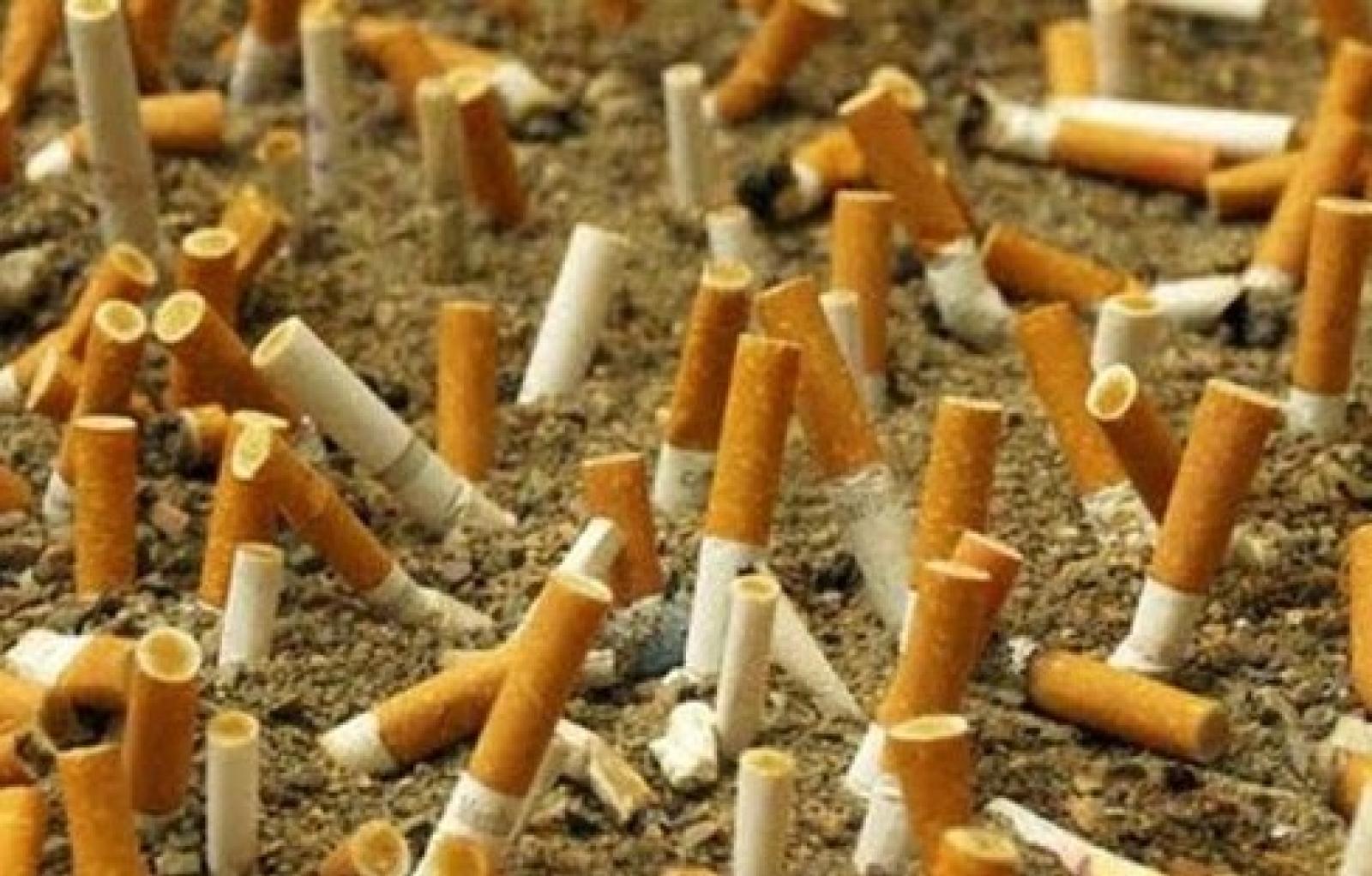 mozziconi di sigaretta.JPG