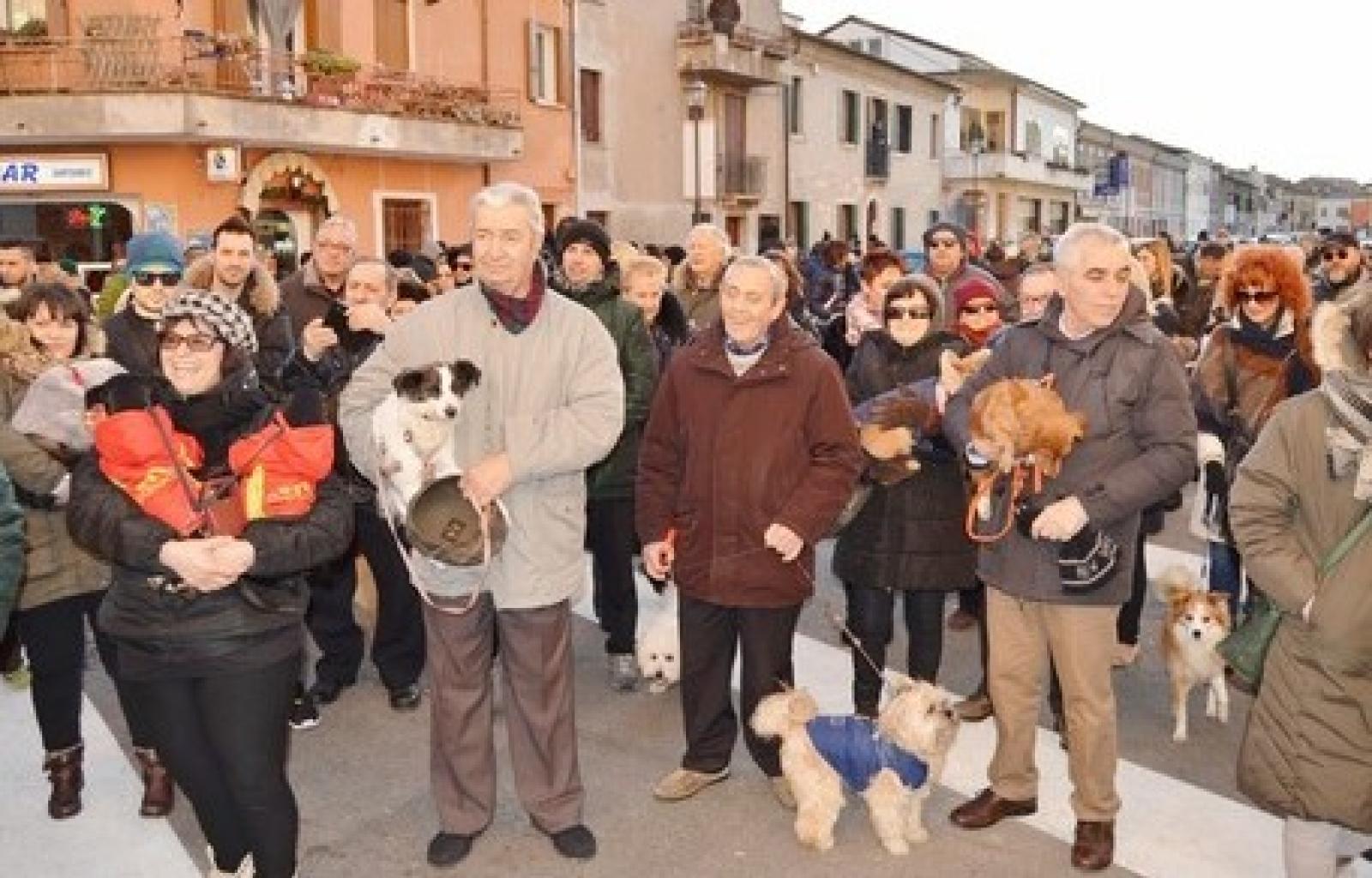 benedizione animali lendinara.JPG
